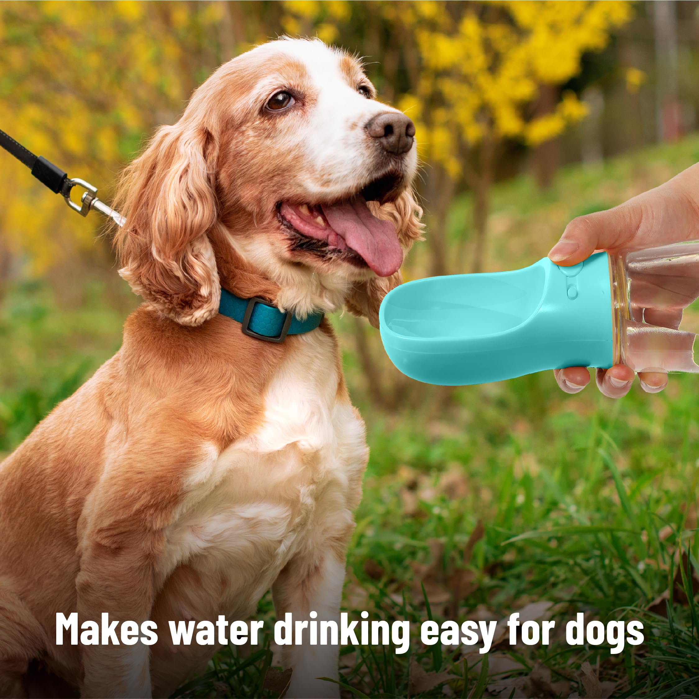 Mr. Pen- Dog Water Bottle, 19 oz, Large, Aqua Blue, Portable Dog Water Bottle Dispenser, Dog Travel Water Bottle, Travel Dog Wat