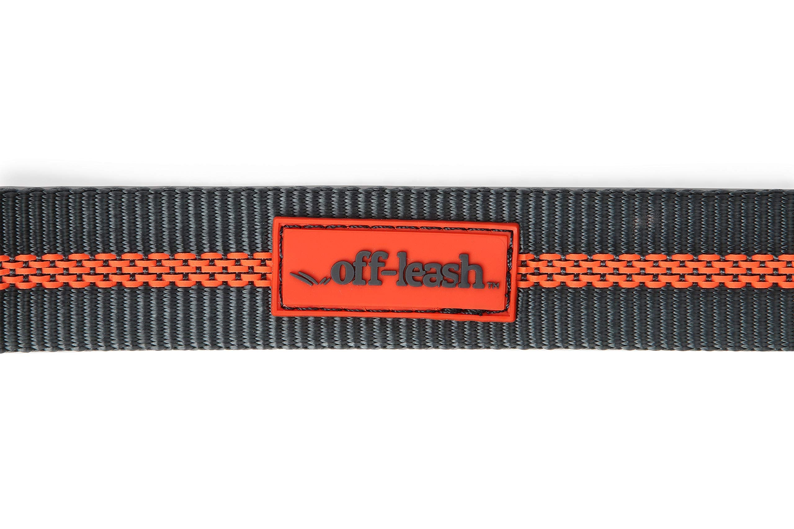 Dexas Double Handled Reflective Dog Leash, Large