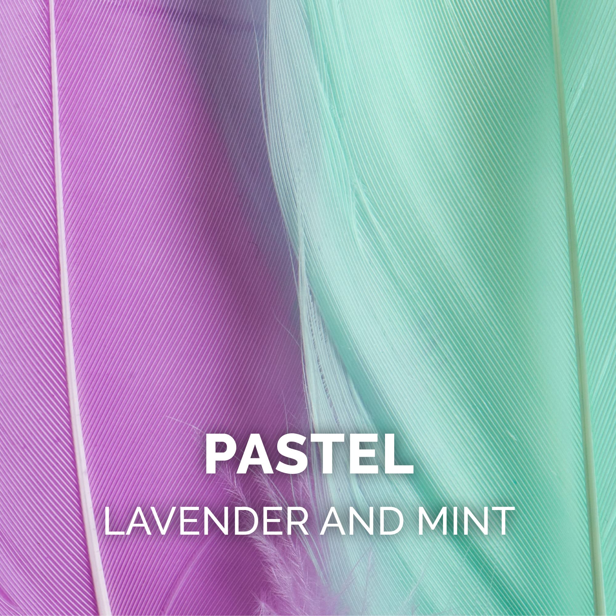 Furhaven 2-Pack Teaser Cat Wand Toy Set For Indoor Cats, Interactive Play & Exercise - Dizzy Kitty Feather Wand - Pastel (Lavend