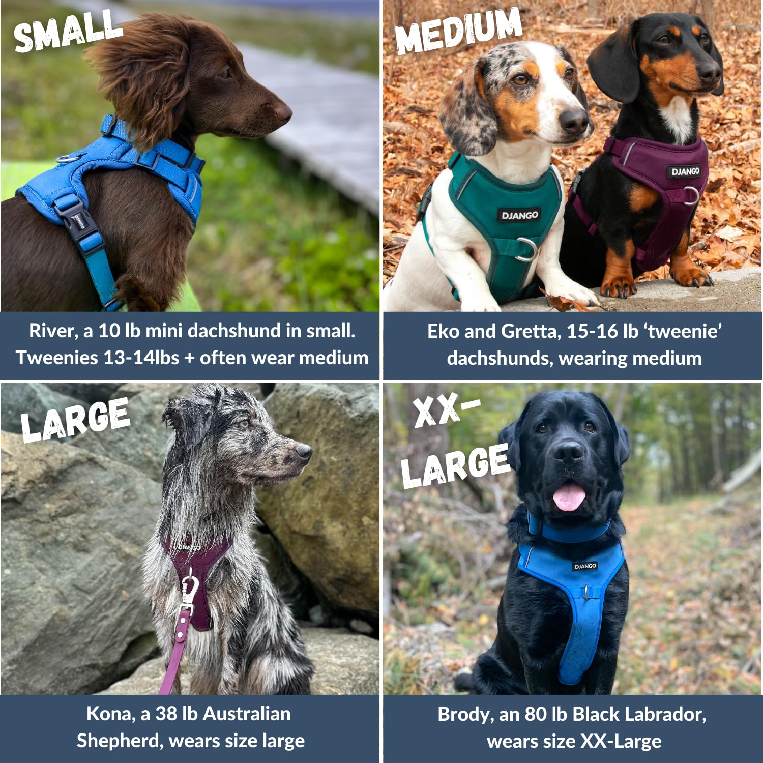 DJANGO Tahoe No Pull Dog Harness - Durable Comfortable Neoprene Pet Harness for Dogs - Padded Pet Harness for Everyday Use - Adj