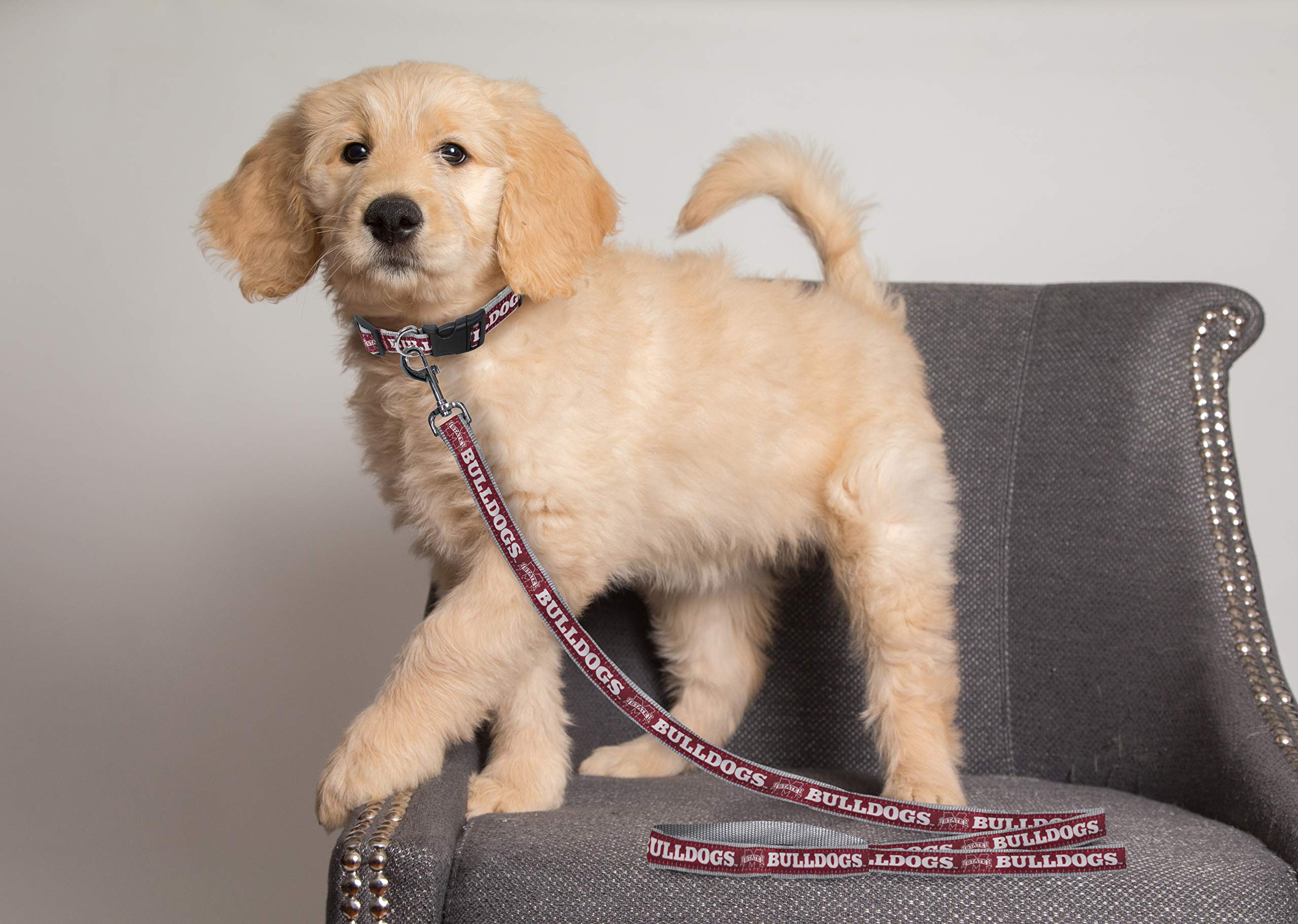 Ncaa Pet Leash, Small, Mississippi State Bulldogs, Dog Leash, Shiny & Colorful Leash For Dogs & Cats Licensed By The Ncaa