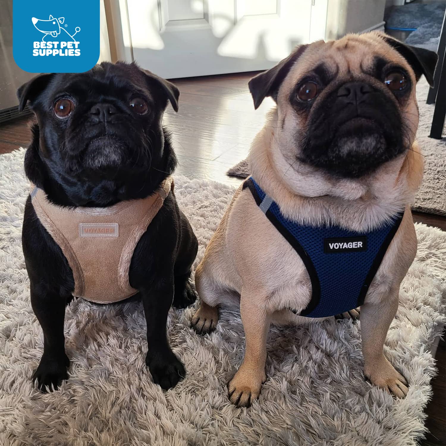 Voyager Step-In Plush Dog Harness - Soft Plush, Step In Vest Harness For Small And Medium Dogs By Best Pet Supplies - Latte Sued