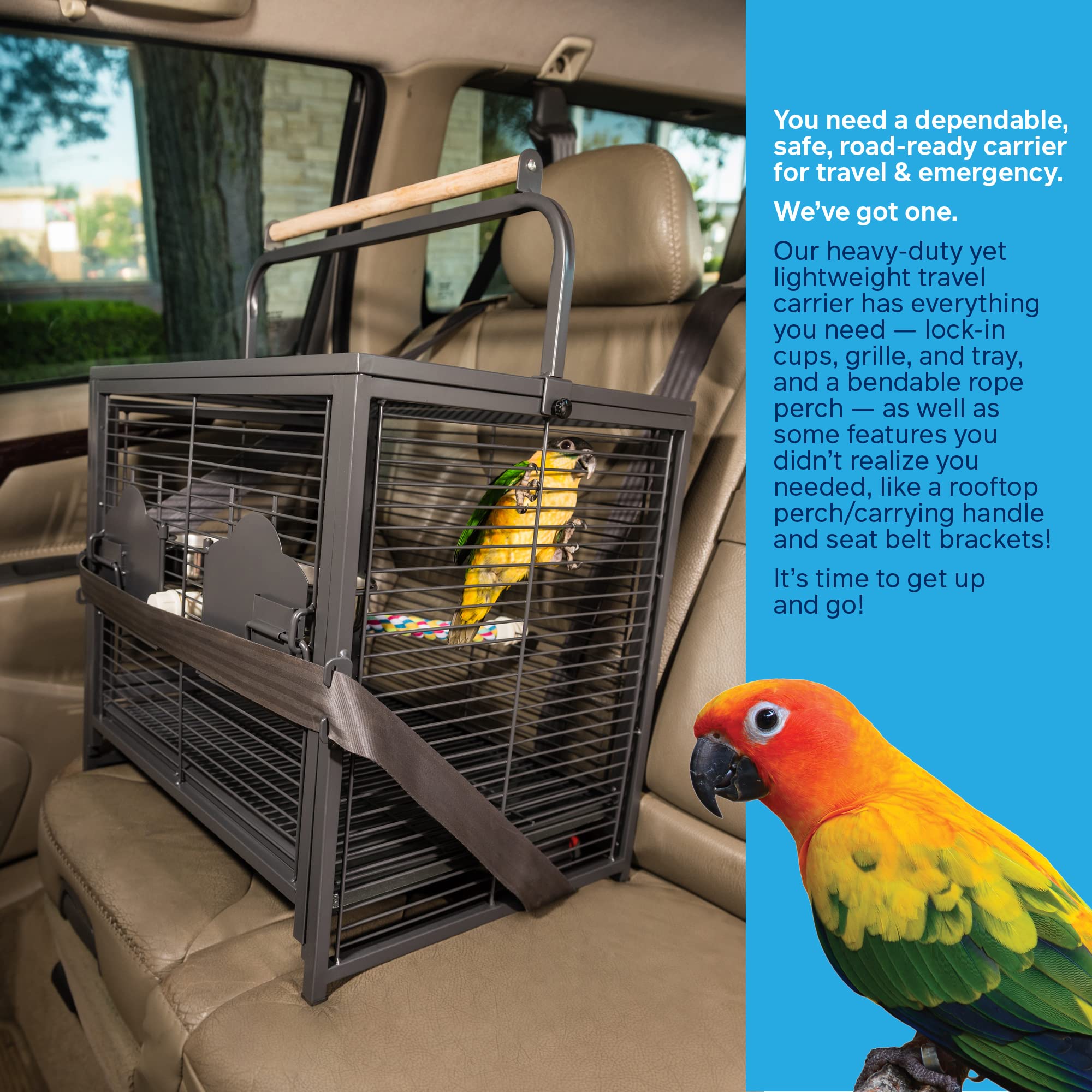 Prevue Pet Products Travel Carrier for Birds, Black 18.8L x 14.9W x 18.0H