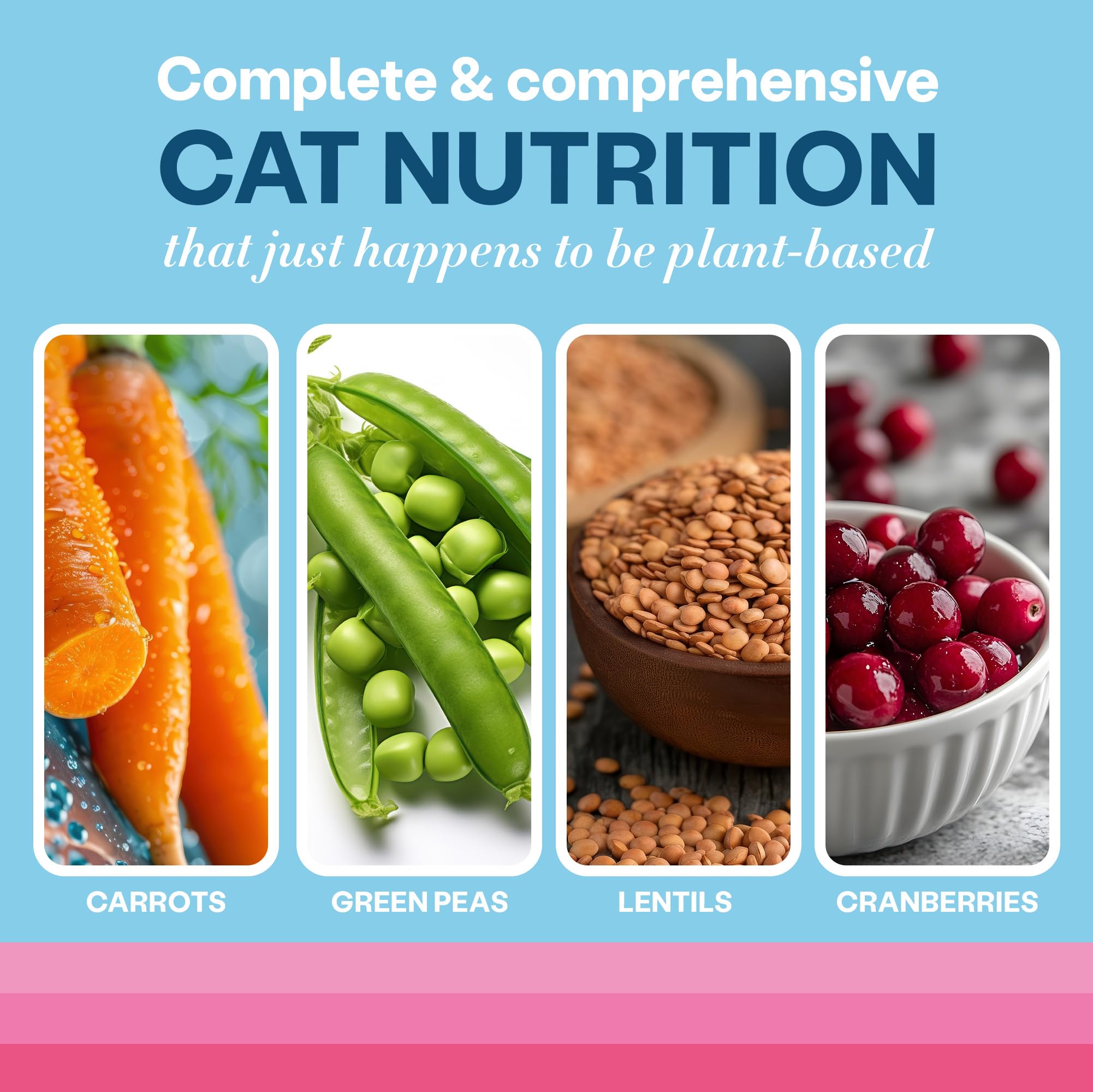 Wild Earth Vegan Wet Cat Food - Grain Free Taurine Fortified | Digestive Support, Allergen-Free, Veterinarian-Developed | Plant-