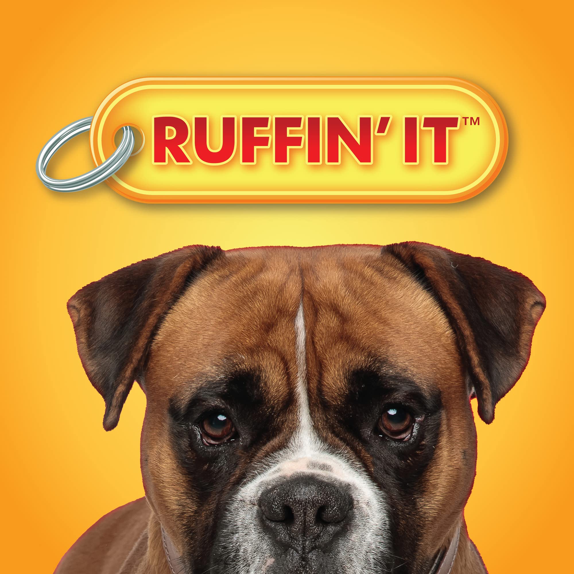 Ruffin' It Reaowazo Woodlands Plush Squirrel Dog Toy, Small