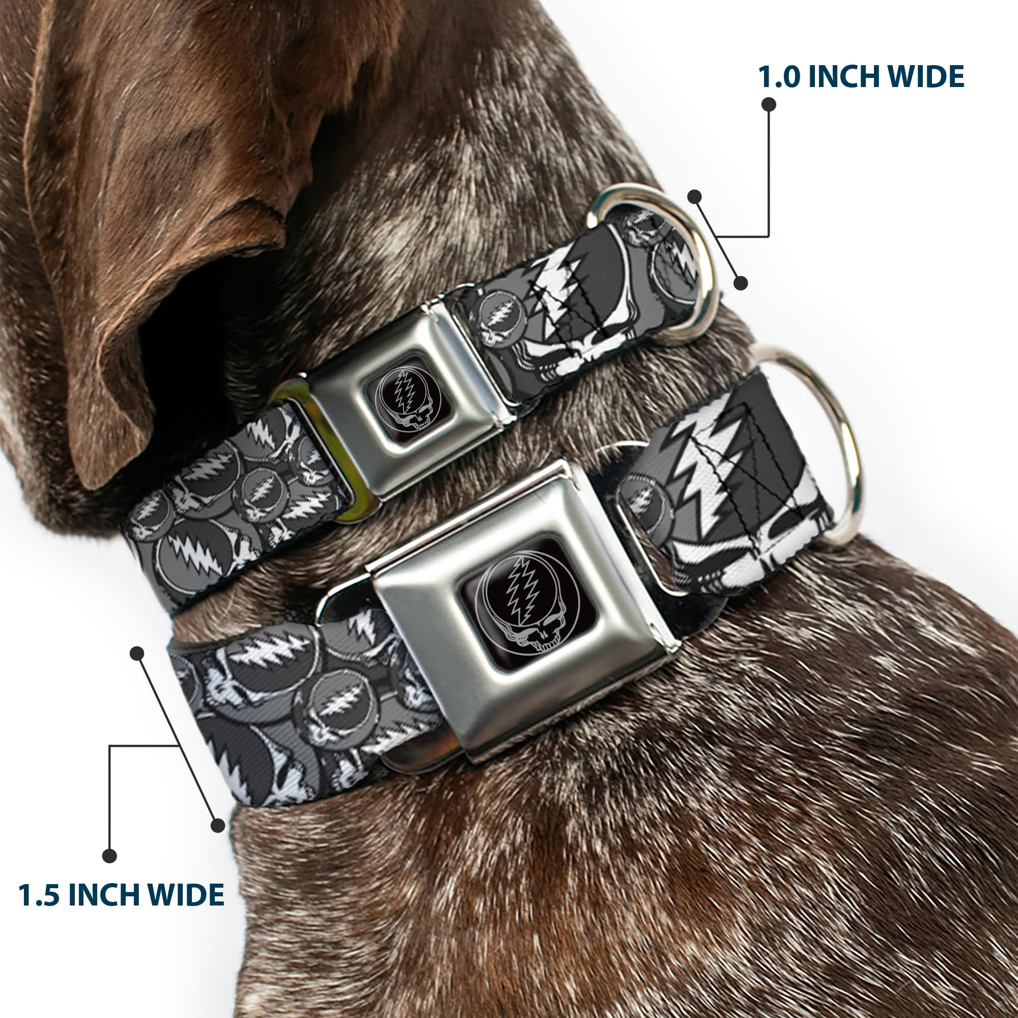 Buckle-Down Seatbelt Buckle Dog Collar - Steal Your Face Stacked Gray - 1' Wide - Fits 9-15' Neck - Small