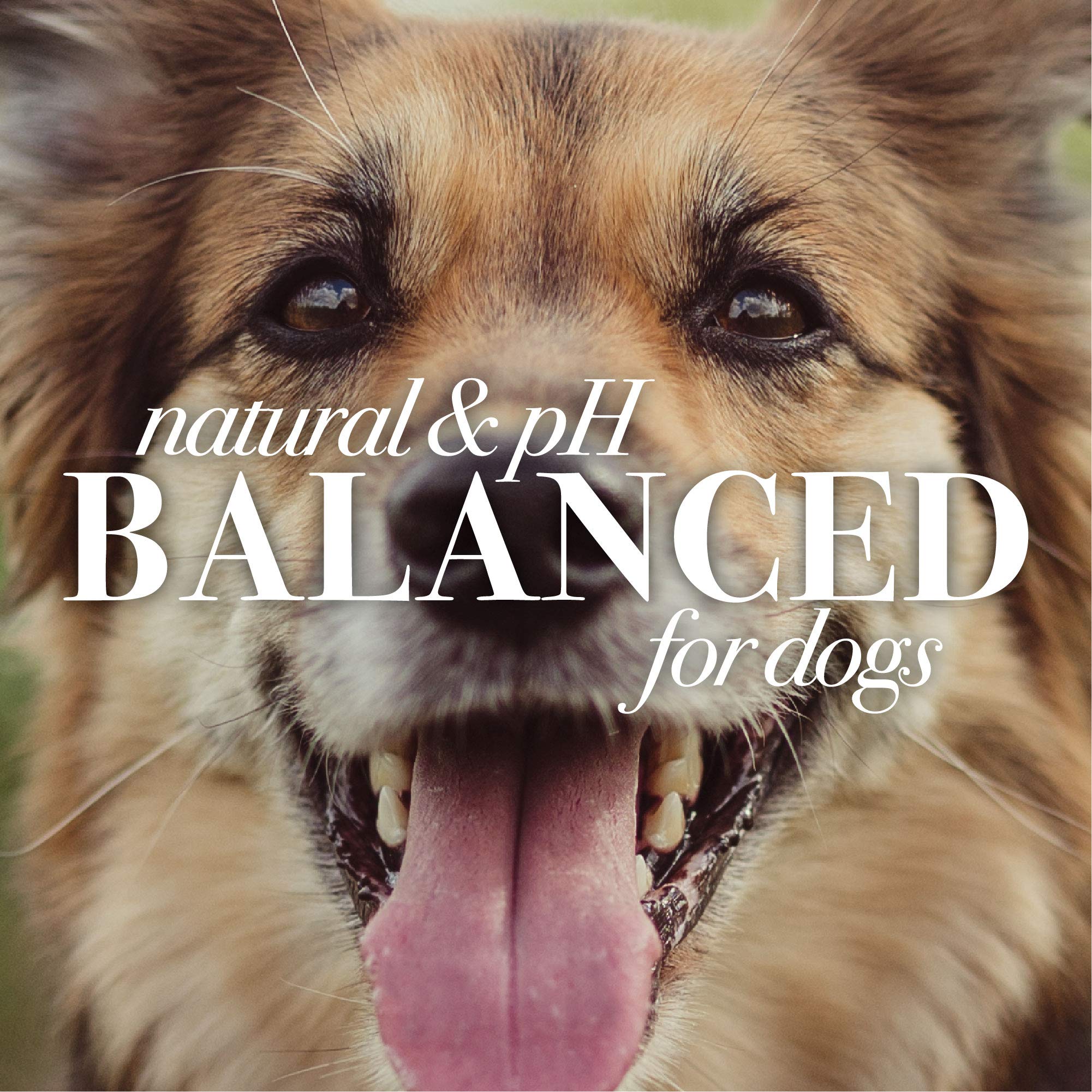 Burt'S Bees For Pets Tearless Puppy Shampoo With Buttermilk, 95% Natural Origin Formulas, Shampoo For Puppies - Gentle Dog And P