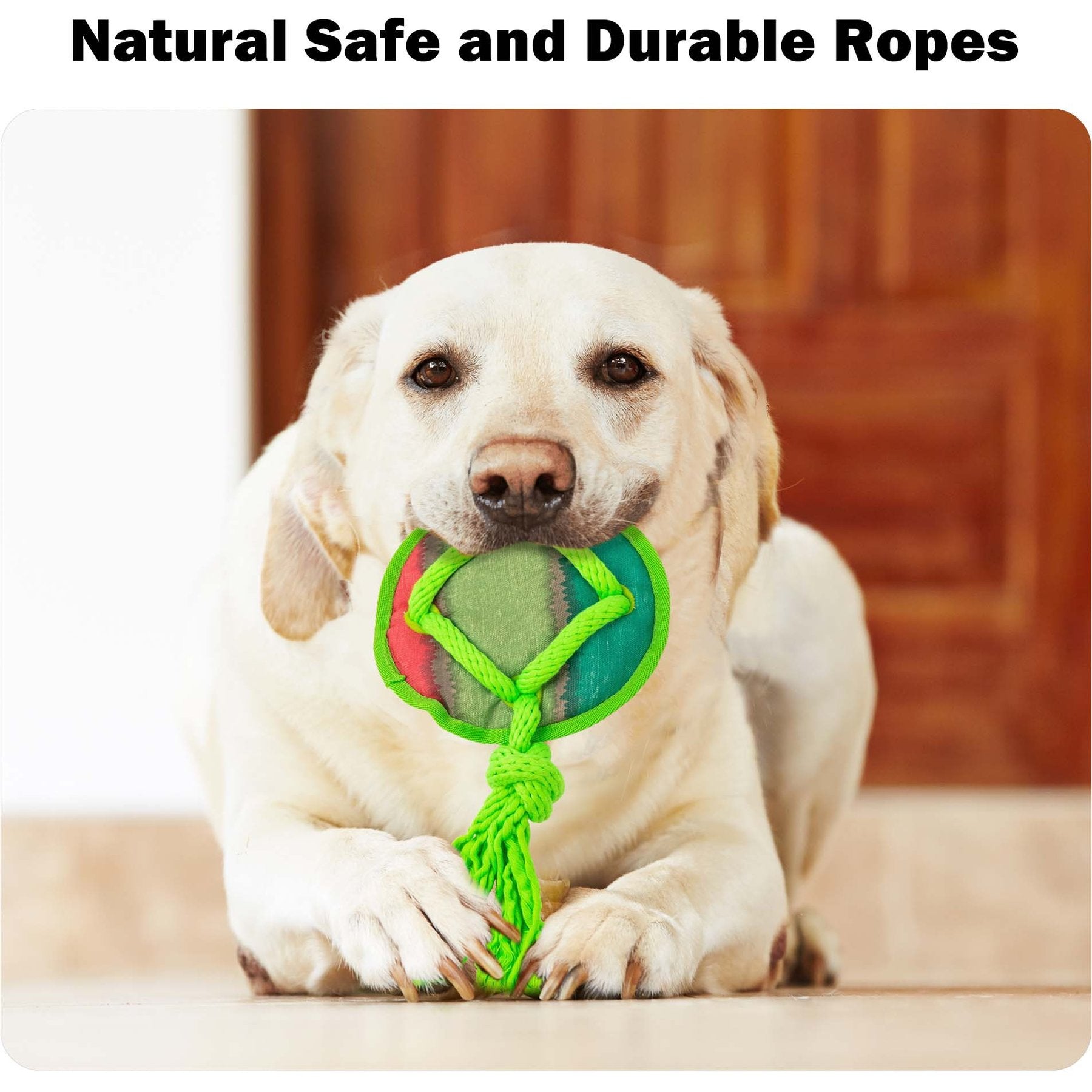 Dog Fetch Toy - Rope Tangle Tangle Disc