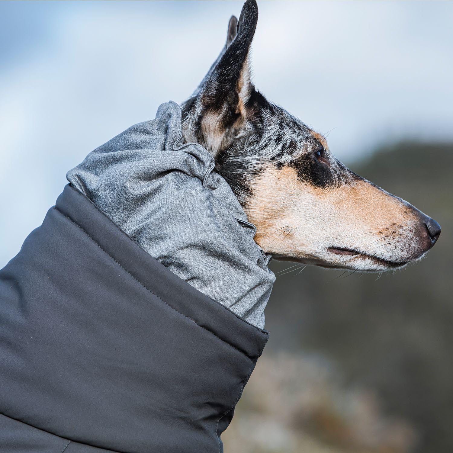 Hurtta Extreme Overall, Dog Snowsuit, Blackberry, 14S