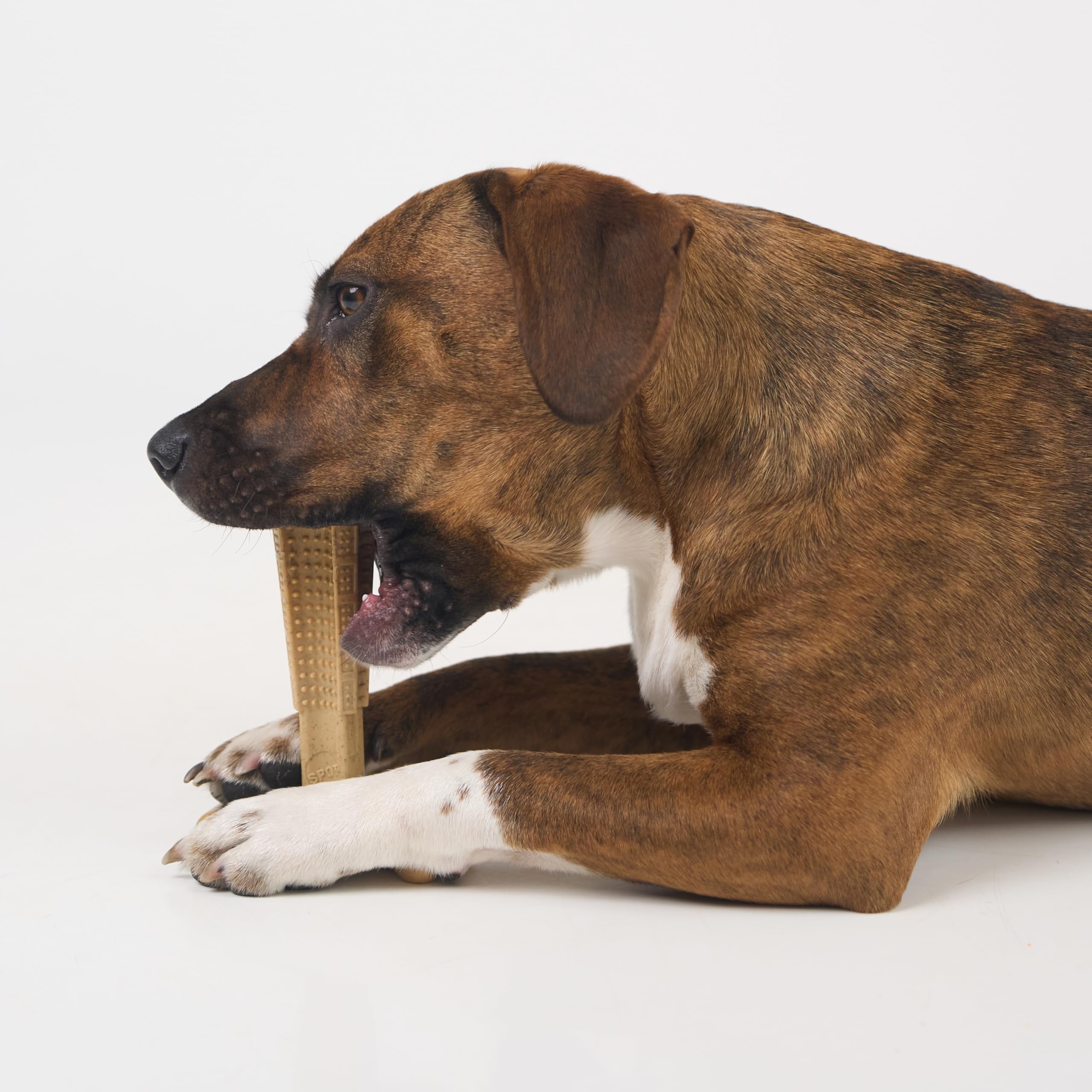 Spot Bambone Plus Chicken Dog Chew Toy Medium