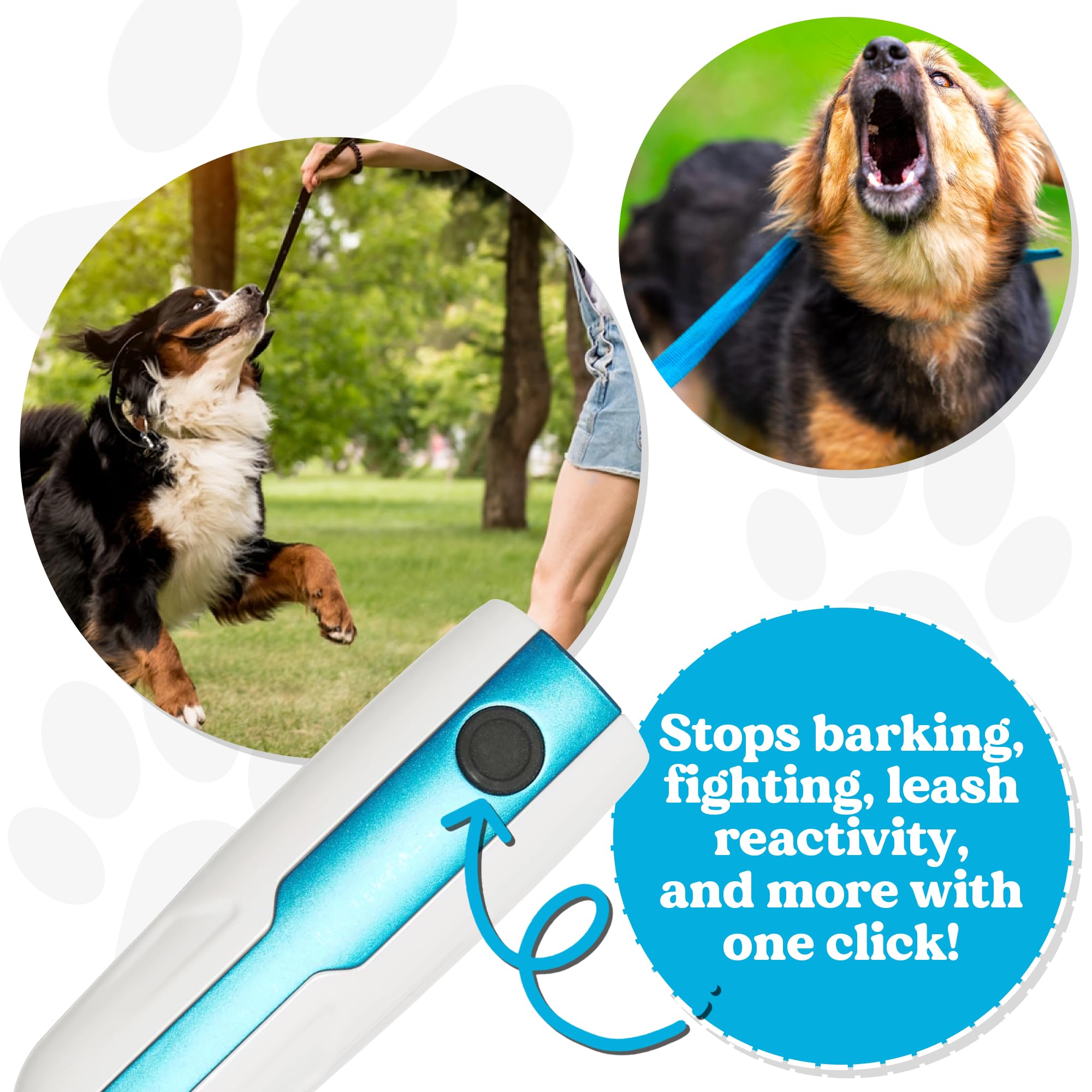 Doggie Don't Sound Only Dog Training Tool - Safe, Non-Shocking Device with Replaceable Batteries for Barking & Jumping, Blue