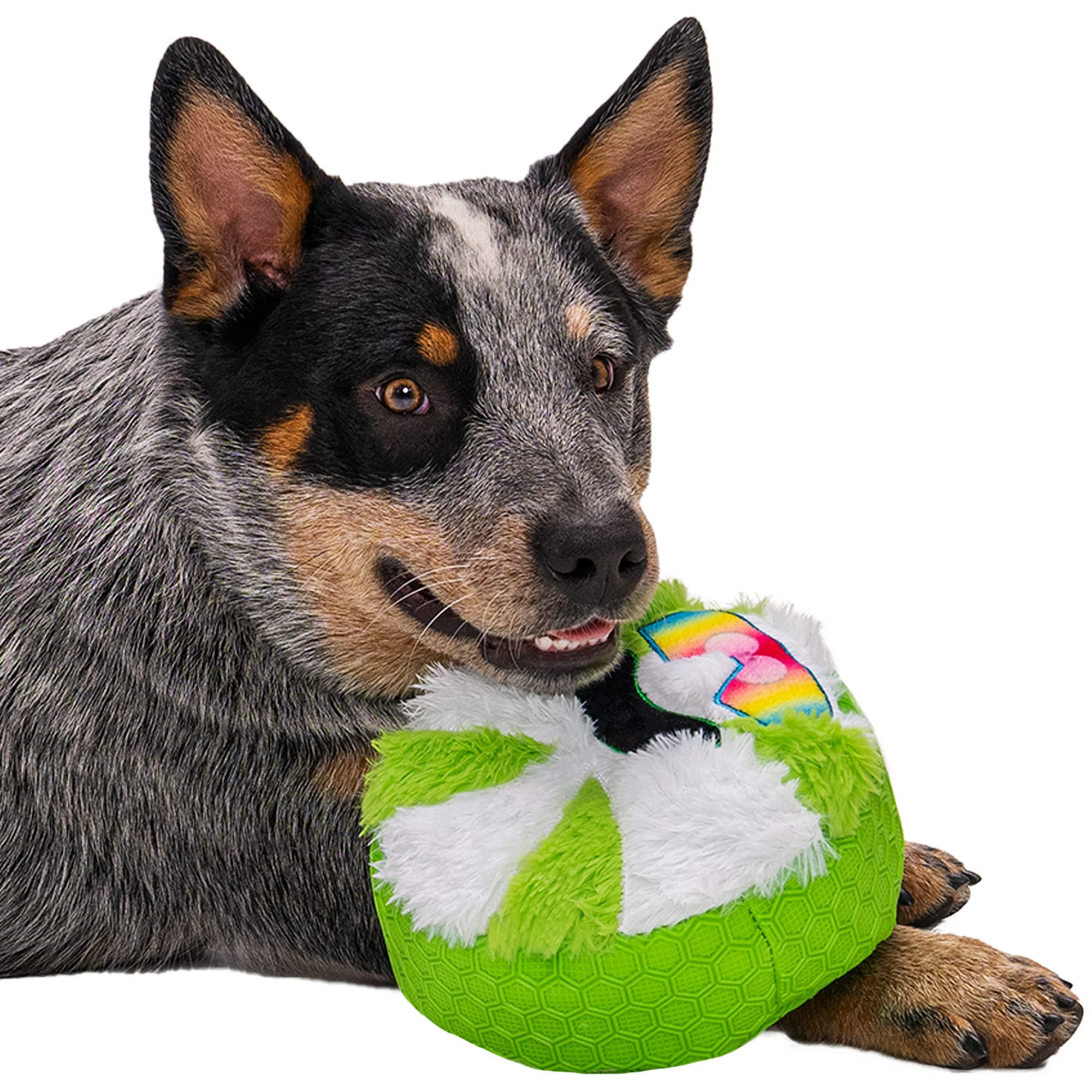 goDog Squeaky Dog Toy - TPE-Plush, Chew Guard Technology, One Size, Cool Mint, Model 74016