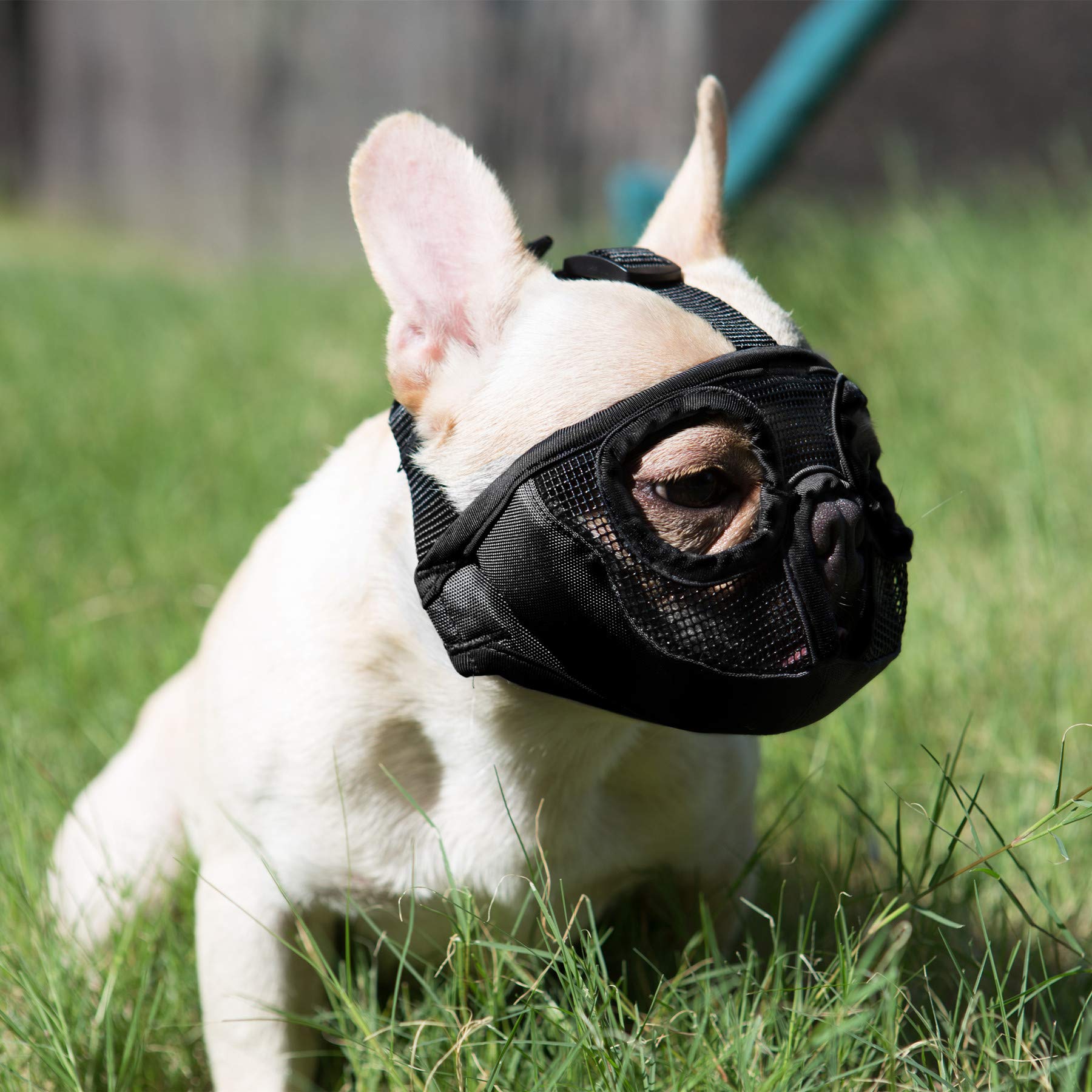 JYHY Adjustable Breathable Mesh Bulldog Muzzle, XL (18"-25"), Black, Nylon - Ideal for Biting, Chewing, Barking Training