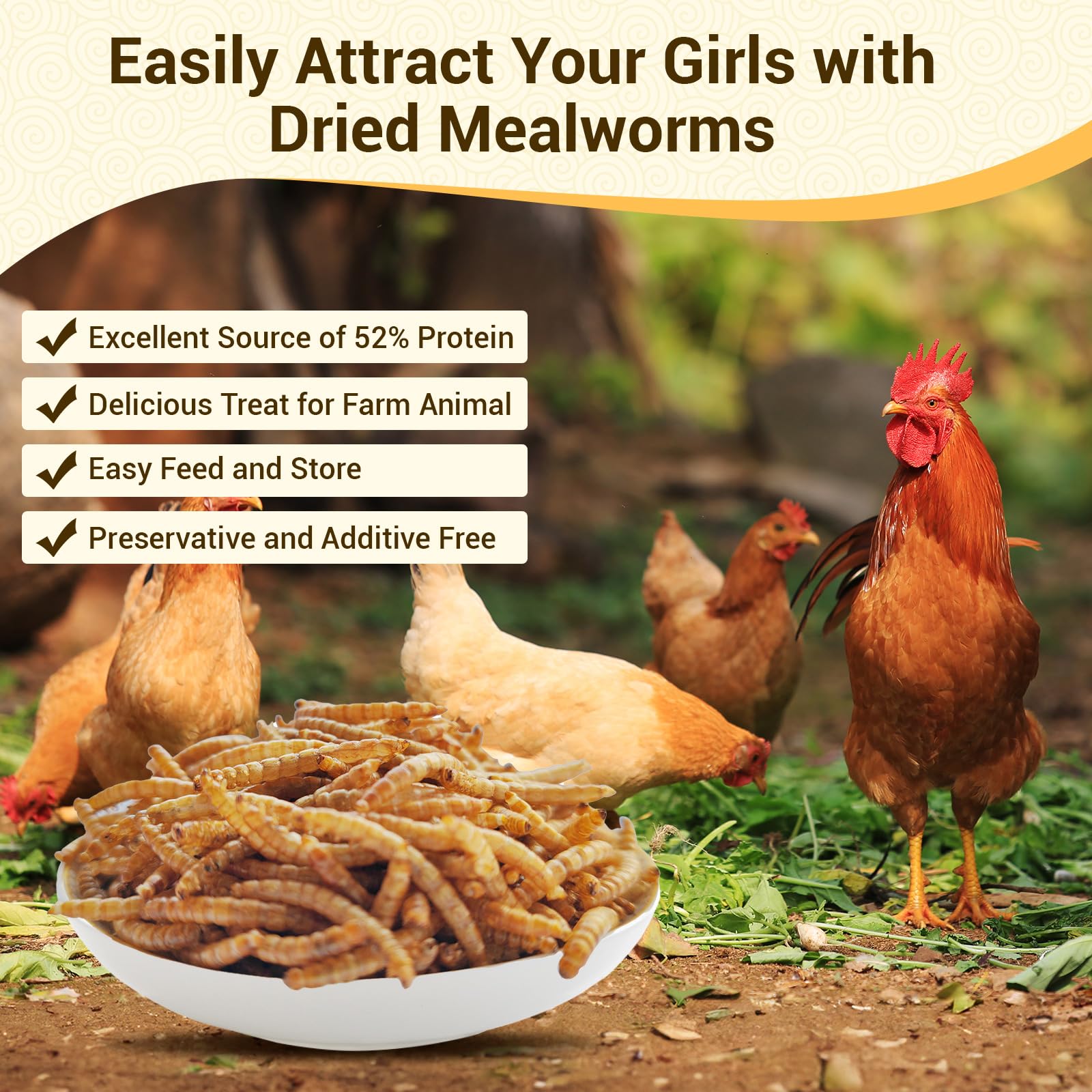 LuckyQworms Dried Mealworms, High-Protein Bulk Mealworms 22Lbs, 100% Non-GMO Mealworm Treats for Birds, Chickens, Turtles, Fish,