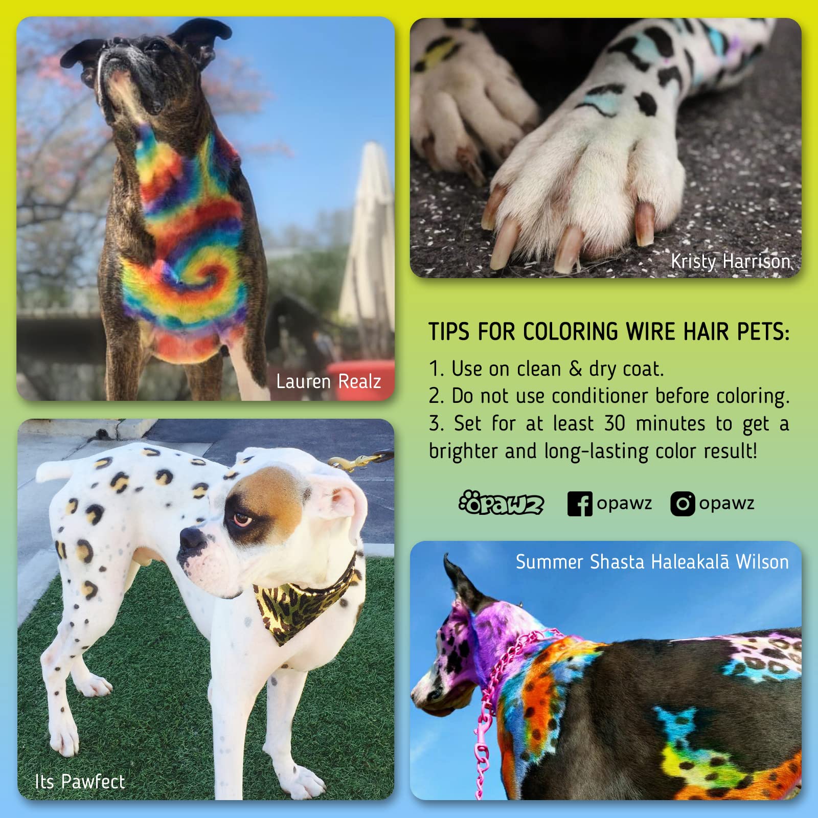 Opawz Permanent Dog Hair Dye, Pet Hair Dye Safely Used By Grooming Salons For A Decade, Pet Safe Dye Lasts Over 20 Washes, Brigh