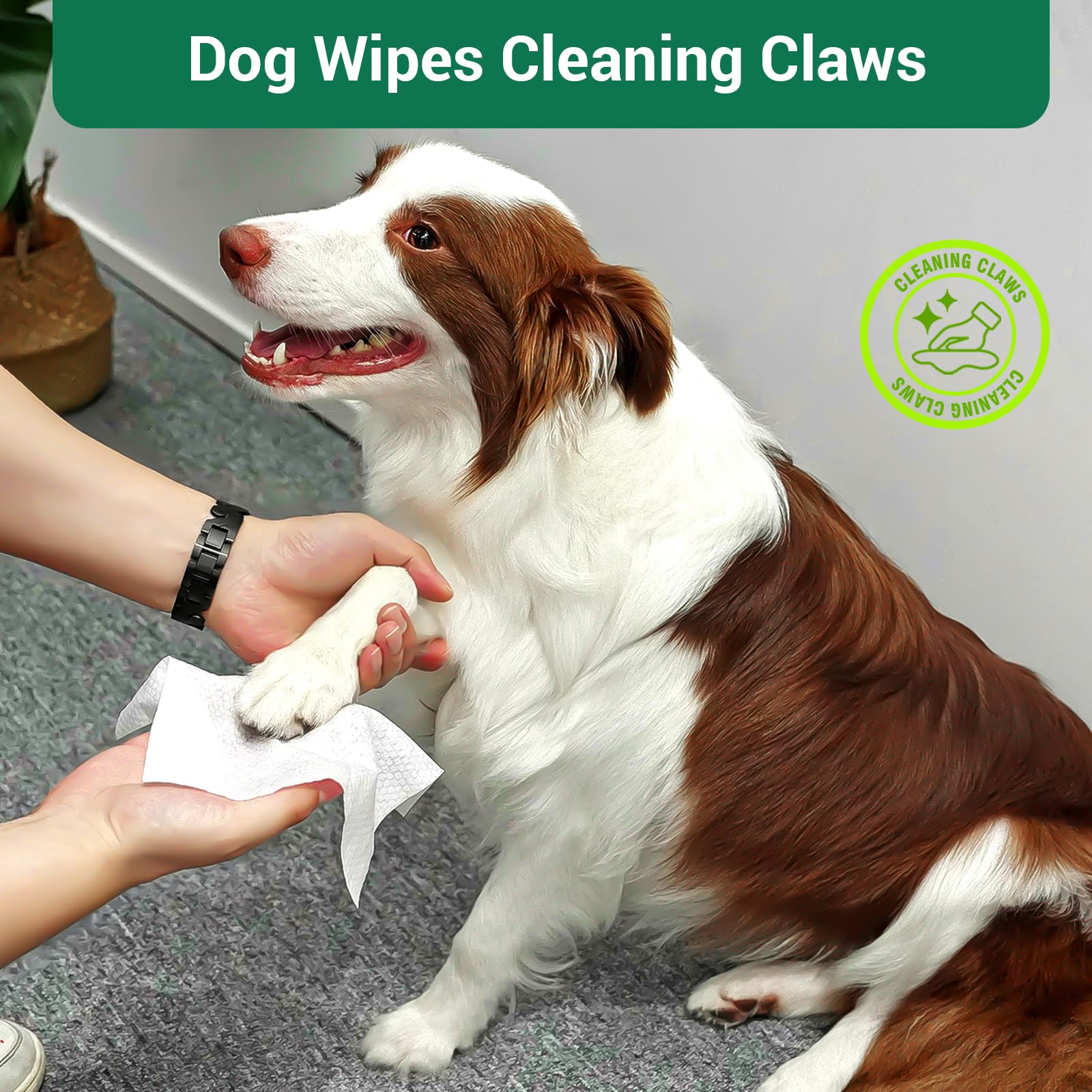 400 Unscented Dog Wipes For Paws And Butt Large Thick Puppy Wipes For Dogs Face And Body Dog Wipes Cleaning Deodorizing Cat Wipe