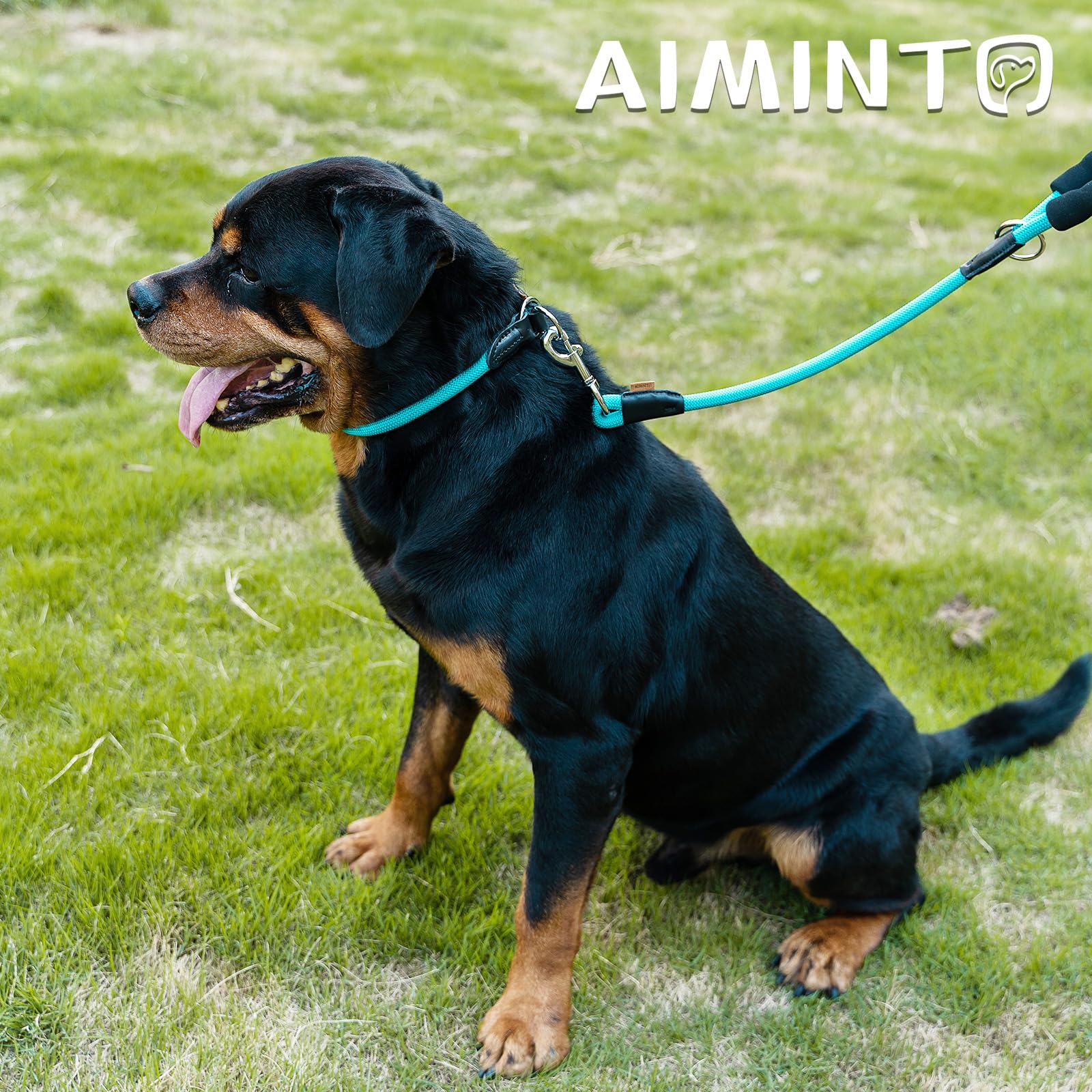 Aiminto Dog Leash, Braided Rope Traction - Walking Training Lead for Medium/Large Dogs ((1/2 '') x 2FT, Light Blue)