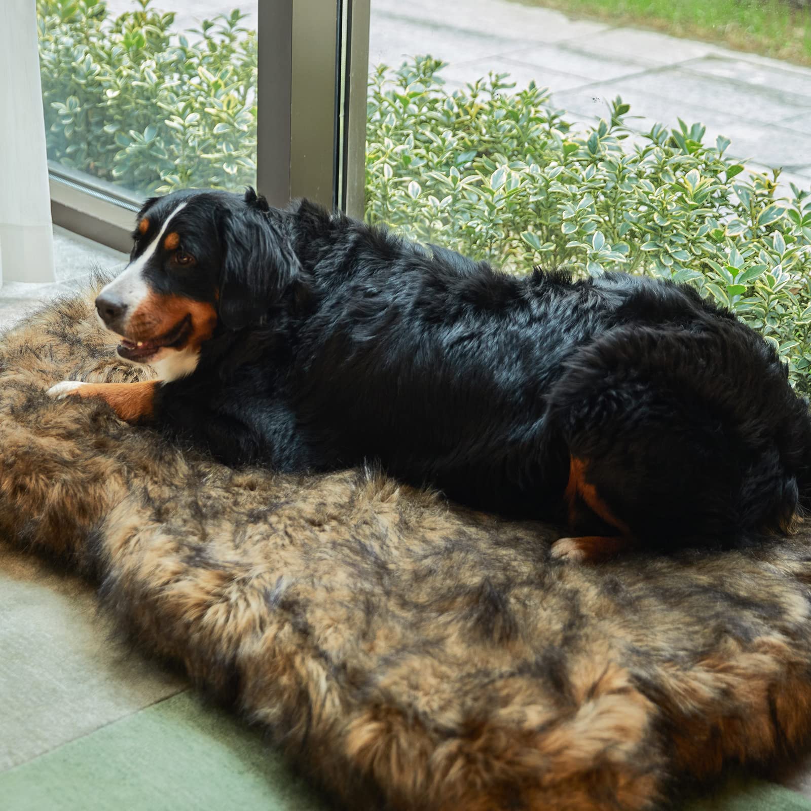 Laifug Large Faux Fur Dog Bed,5-Inch Thick Grade Orthopedic Memory Foam Dog Bed(50'X30'X5'),Removable Cover With Anti-Slip Bottom,Waterproof Liner