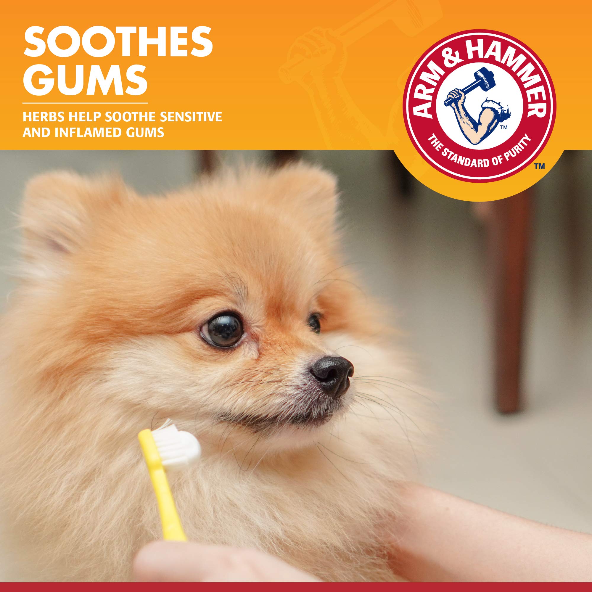 Arm & Hammer for Pets Clinical Care Enzymatic Toothpaste for Dogs | Soothes Inflamed Gums | Dog Toothpaste Enzymatic, Chicken Fl
