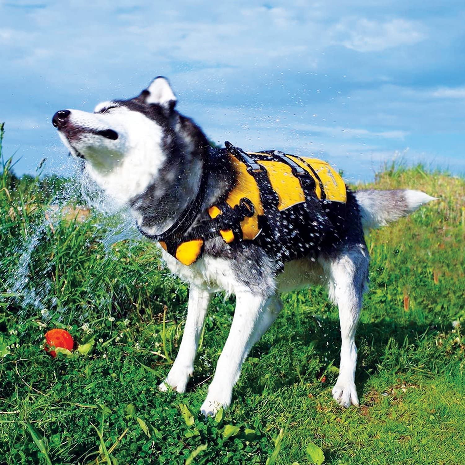Ezydog Dfd Dog Life Jacket - Adjustable Swimming Safety Vest With Reflective Trim & Durable Grab Handle - 50% More Flotation Material - X-Large, Red