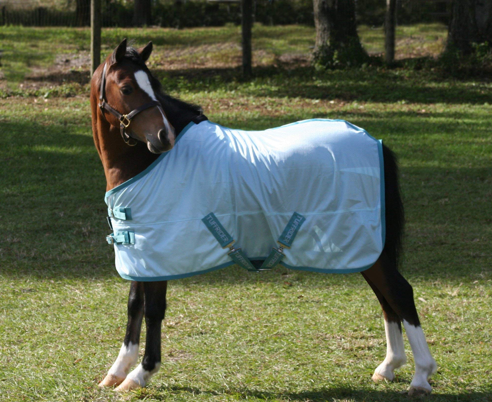 Tuffrider Comfy Mesh Mini Fly Sheet - Porcelain Blue/Teal - 52