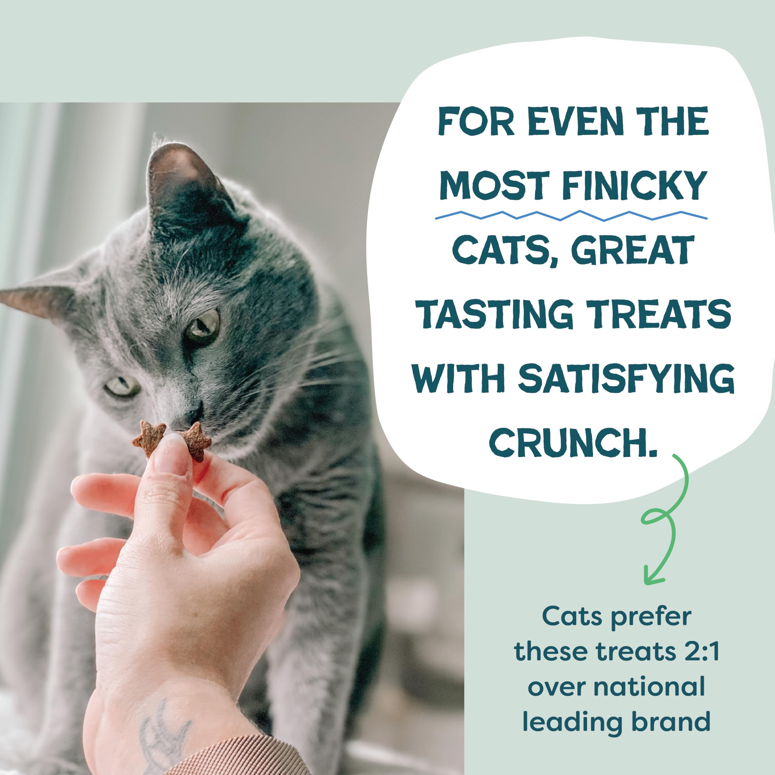 Shameless Pets Crunchy Cat Treats - Catnip Treats for Cats with Digestive Support, Kitten Treats with Real Chicken, Natural & He