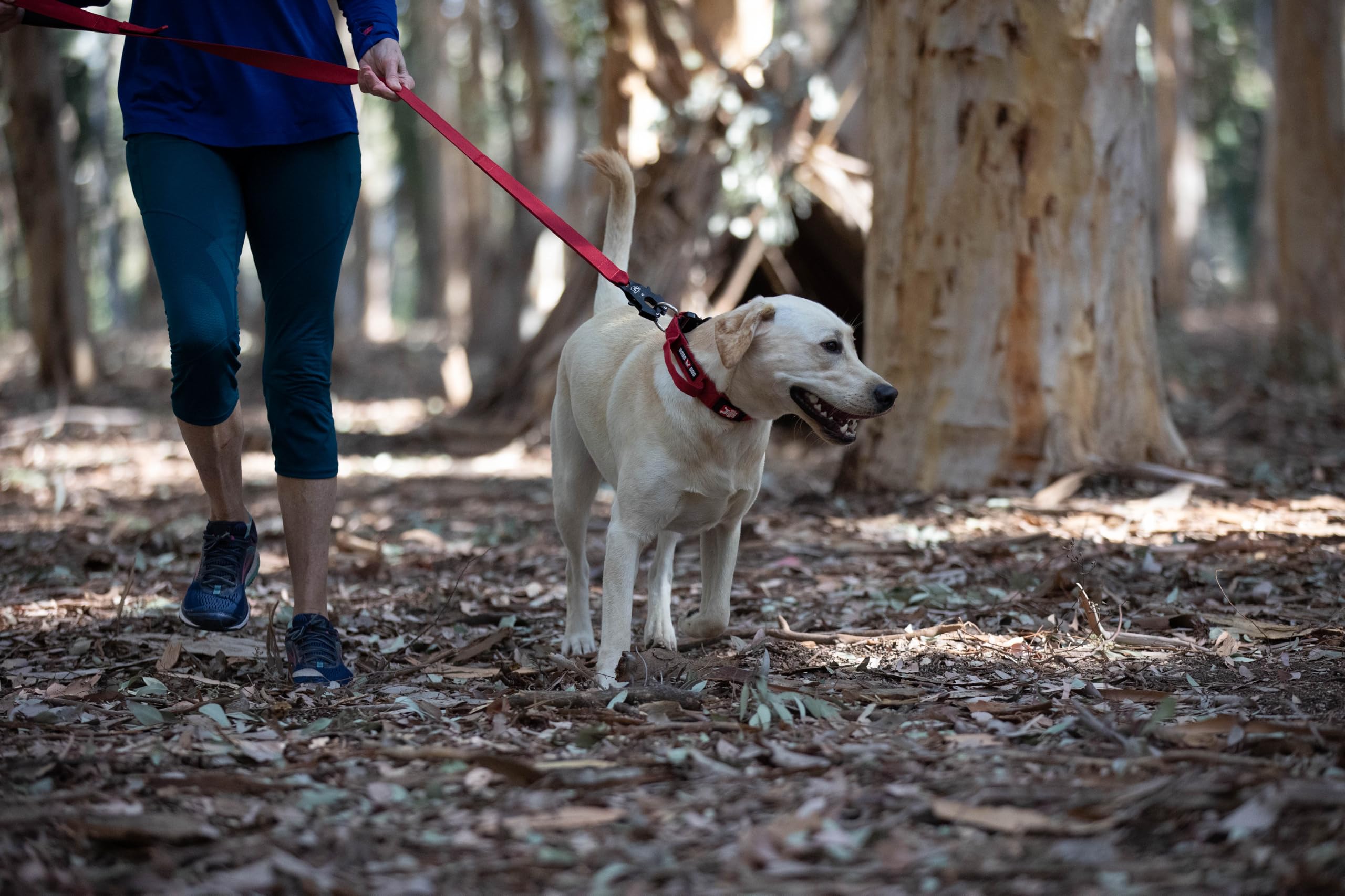 Boss Dog Tactical Leash, Red, 4 Ft