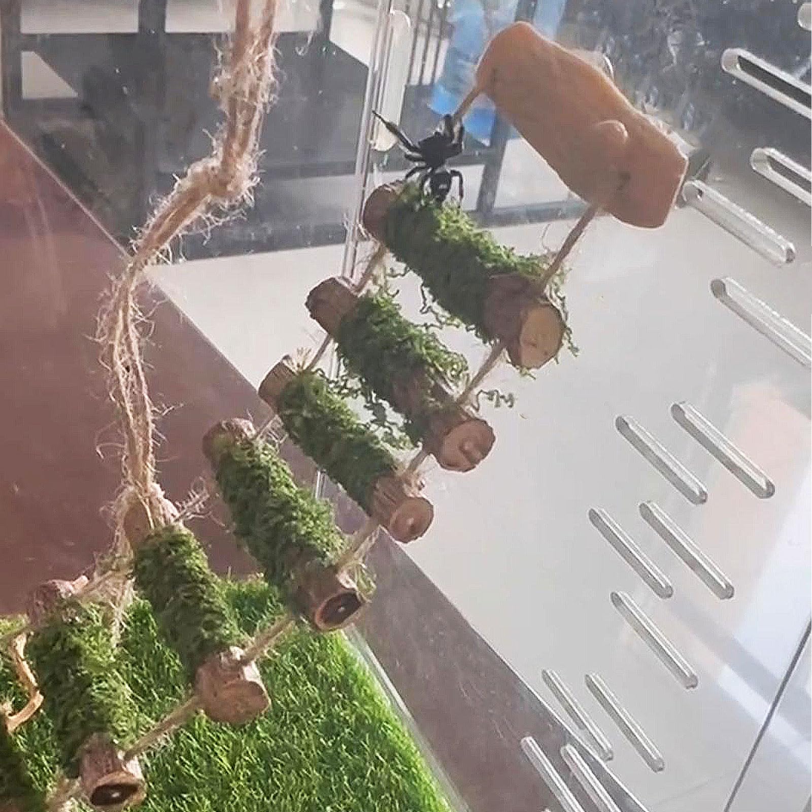 Jumping Spider Rope Bridge,A Solid Wood Climbing Suspension Bridge, A Jumping Spider Enclosure Accessory, Handmade, A Spider Jum