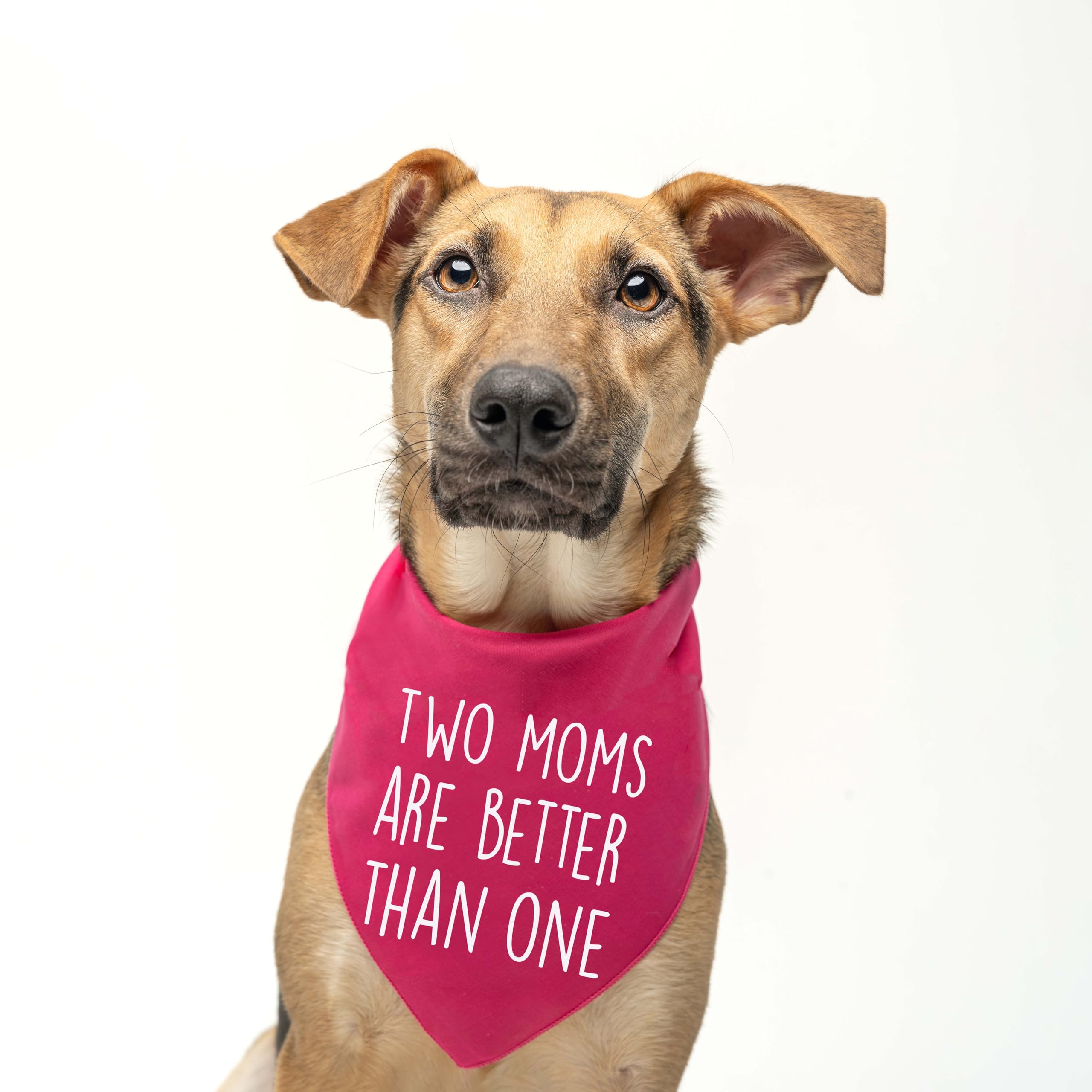 Two Moms Are Better Than One Mother'S Day Dog Bandana | 100% Cotton Adjustable Triangle | Made In Usa | Pride Day | Lgbtq+ | Rai