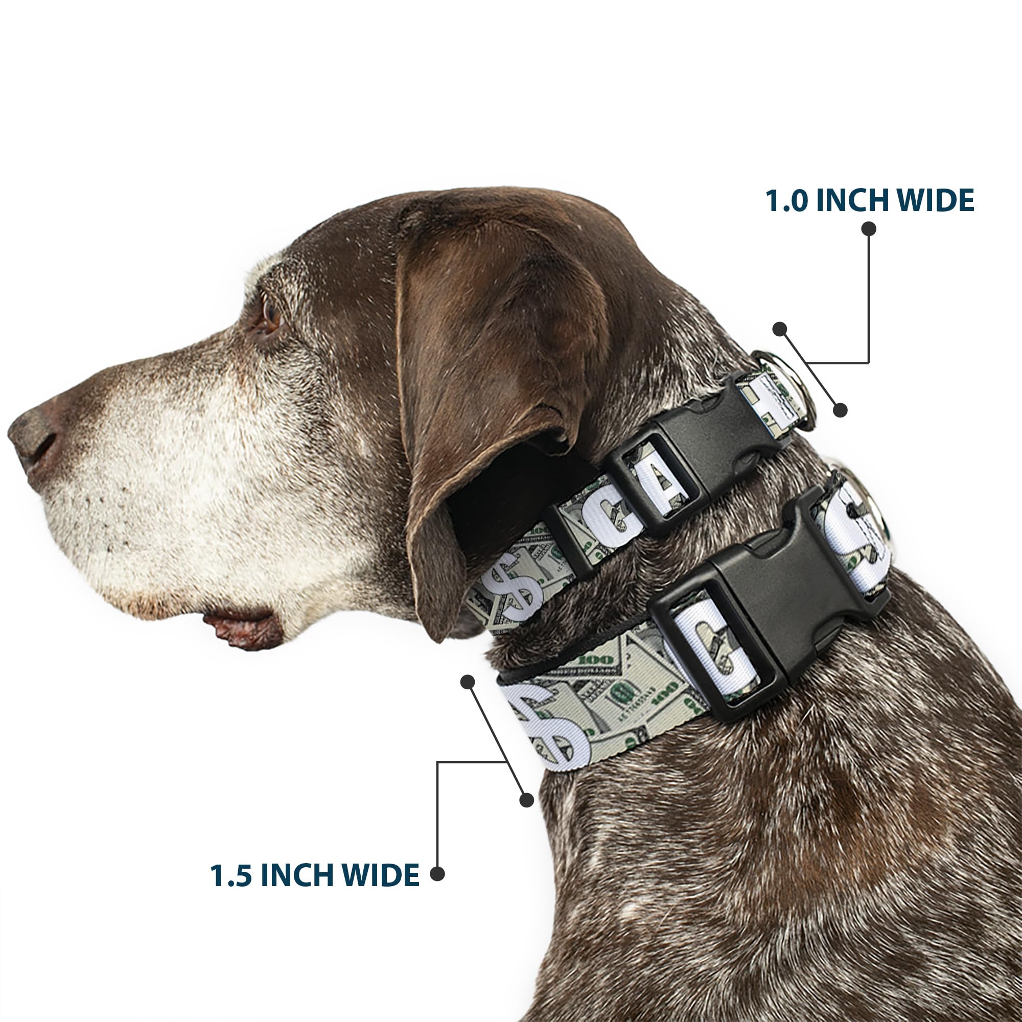 Buckle-Down Plastic Clip Collar - Cash Money $ Dollars/White - 1/2 Wide - Fits 6-9 Neck - Small