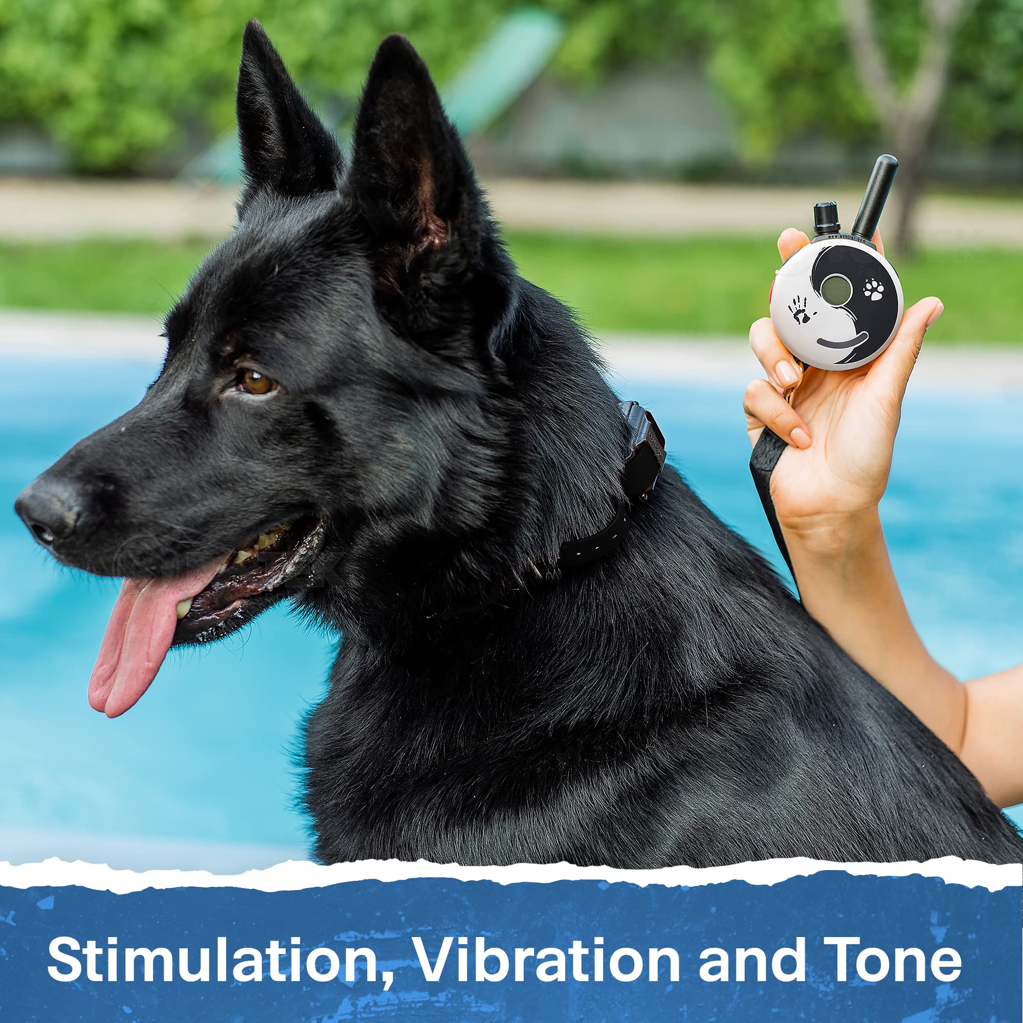 Educator Mini ET-300 Zen Ecollar Dog Training Collar - Static, Vibration & Tone for Small, Medium, Large Dogs - Yellow, Black, Orange, Green