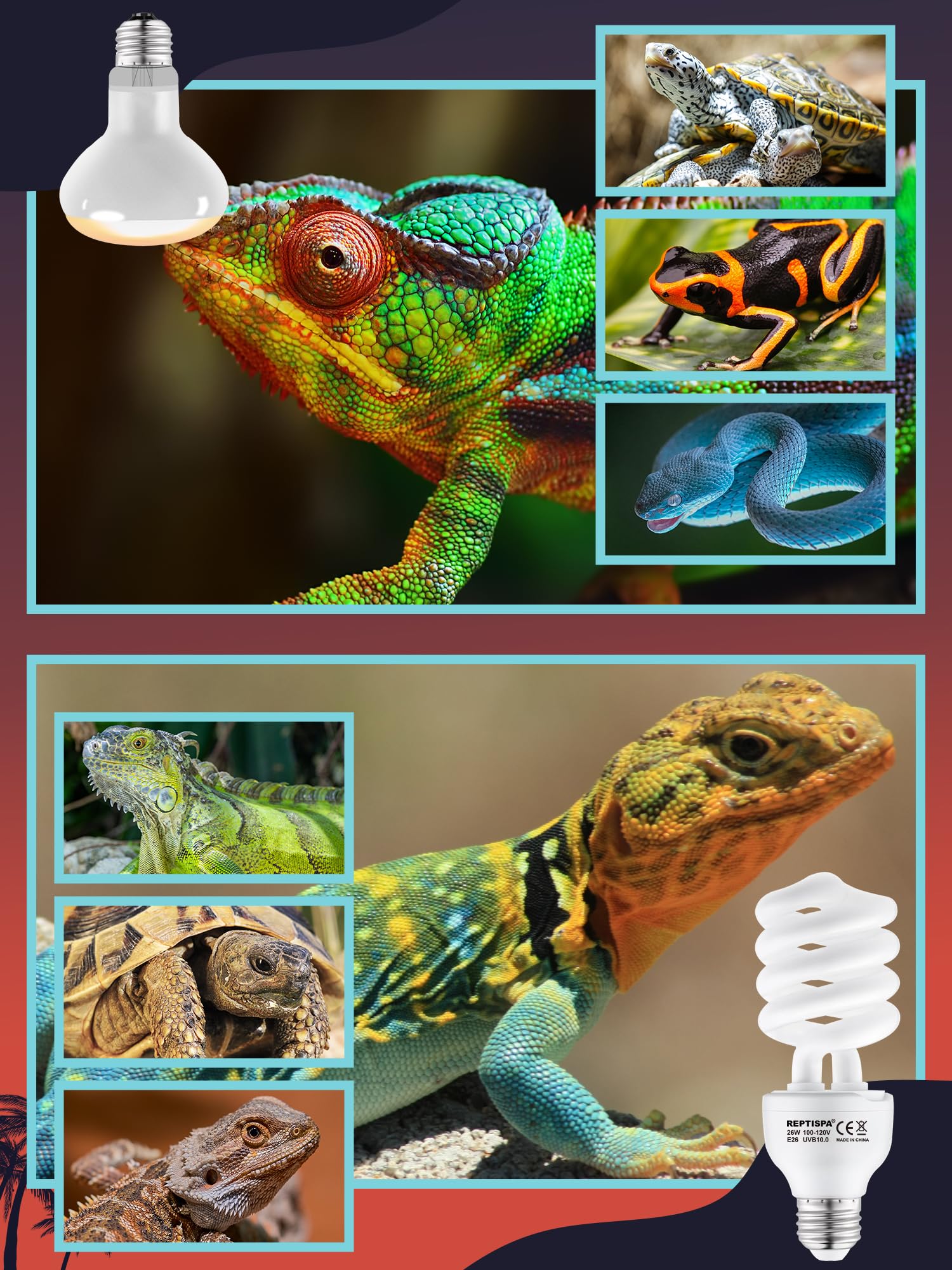 Reptispa Heat Lamp Combo - 100W UVA & 26W UVB Bulb for Reptiles, Energy Saving Infrared Light, White, Model PALI017