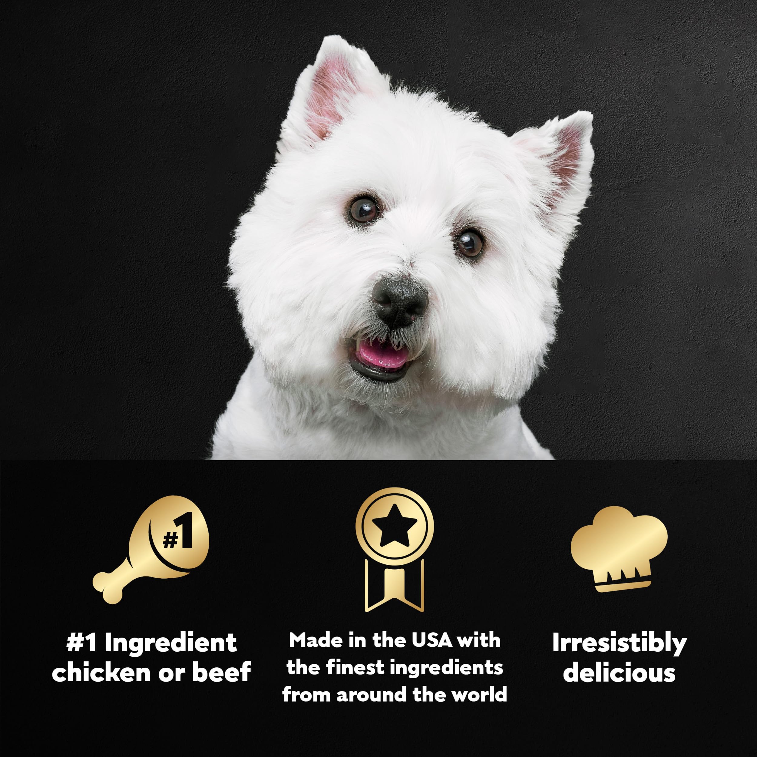 Cesar Wet Dog Food Loaf in Sauce Rotisserie Chicken Flavor with Bacon & Cheese and Filet Mignon Flavor with Bacon & Potato Varie