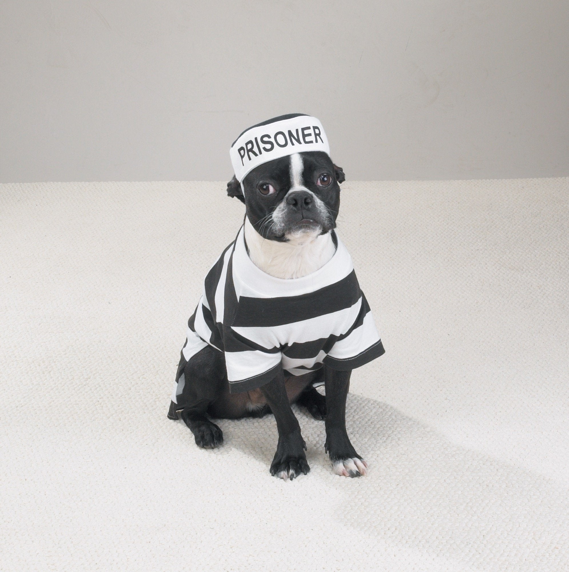 Casual Canine Prison Pooch Costume for Dogs, 24 XL, Black and White