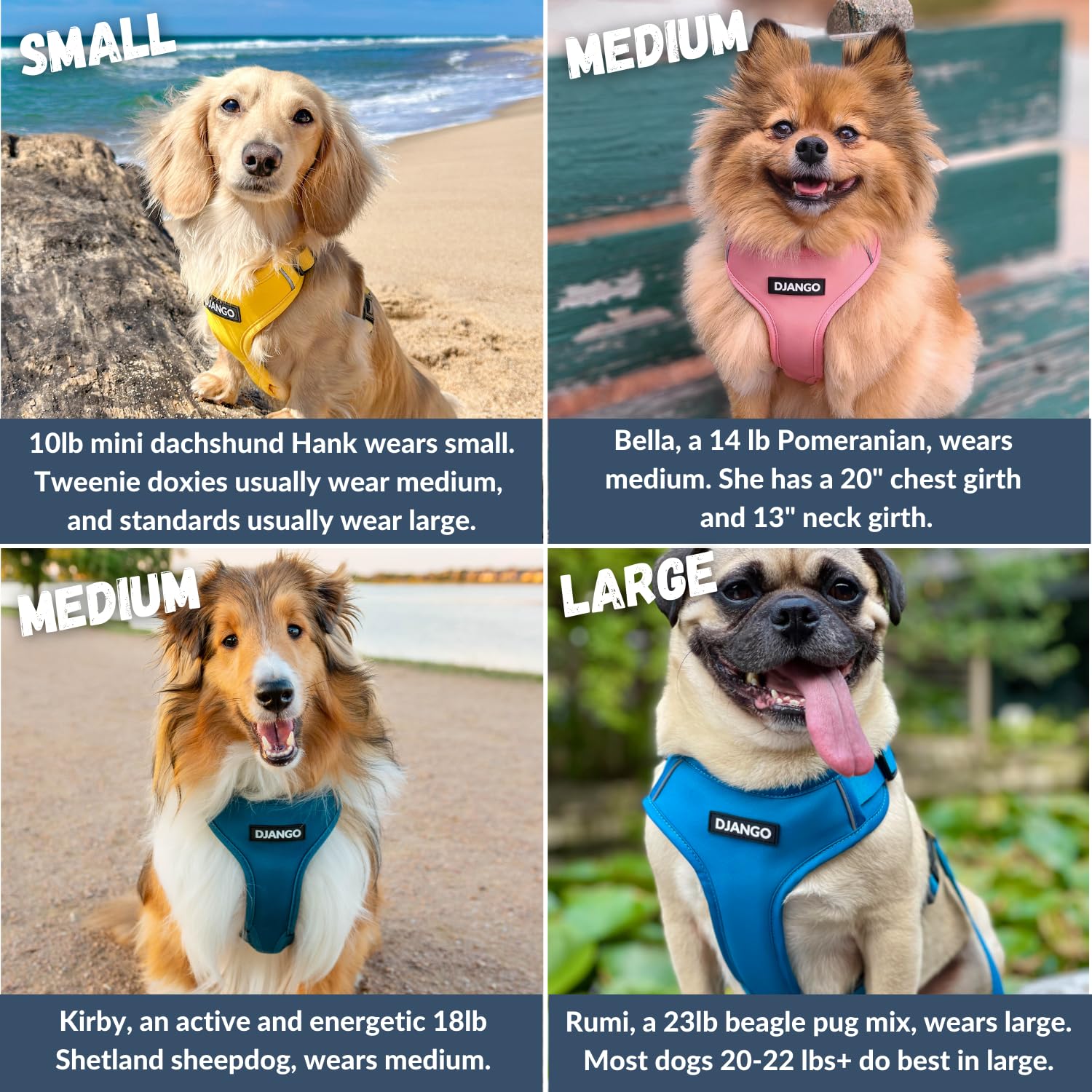 DJANGO Adventure Dog Harness - Stylish & Durable Small Dog Harness for Outdoor Adventures and Everyday Wear - Pacific Blue Neopr