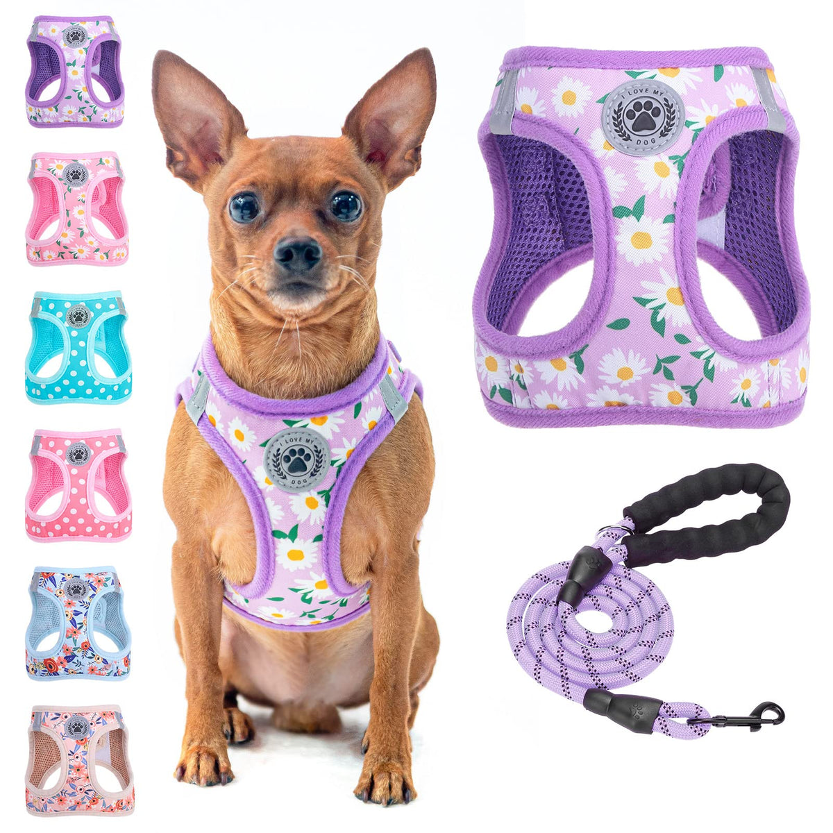 Beautyzoo Step In Dog Harness And Leash Set, Floral Pattern Reflective Dog Harness No Pull No Choke Puppy Harness For Xxs Xs S Dogs Cats, Soft Padded Mesh Vest Harnesses For Girl And Boy Pets