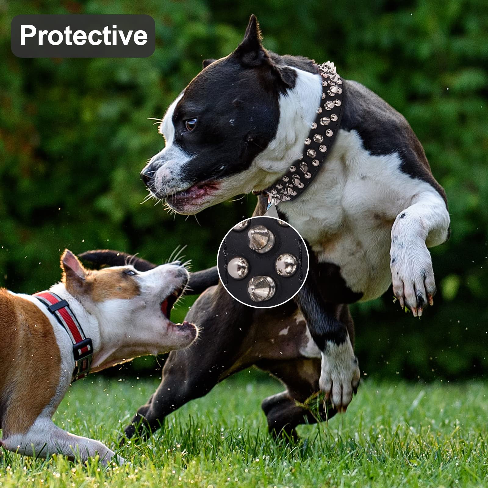 ???????????????? ?????????????? Spiked Studded Leather Dog Collar With Leash, Epesiri Rivet Pu Leather Dog Collars For Pit Bull,