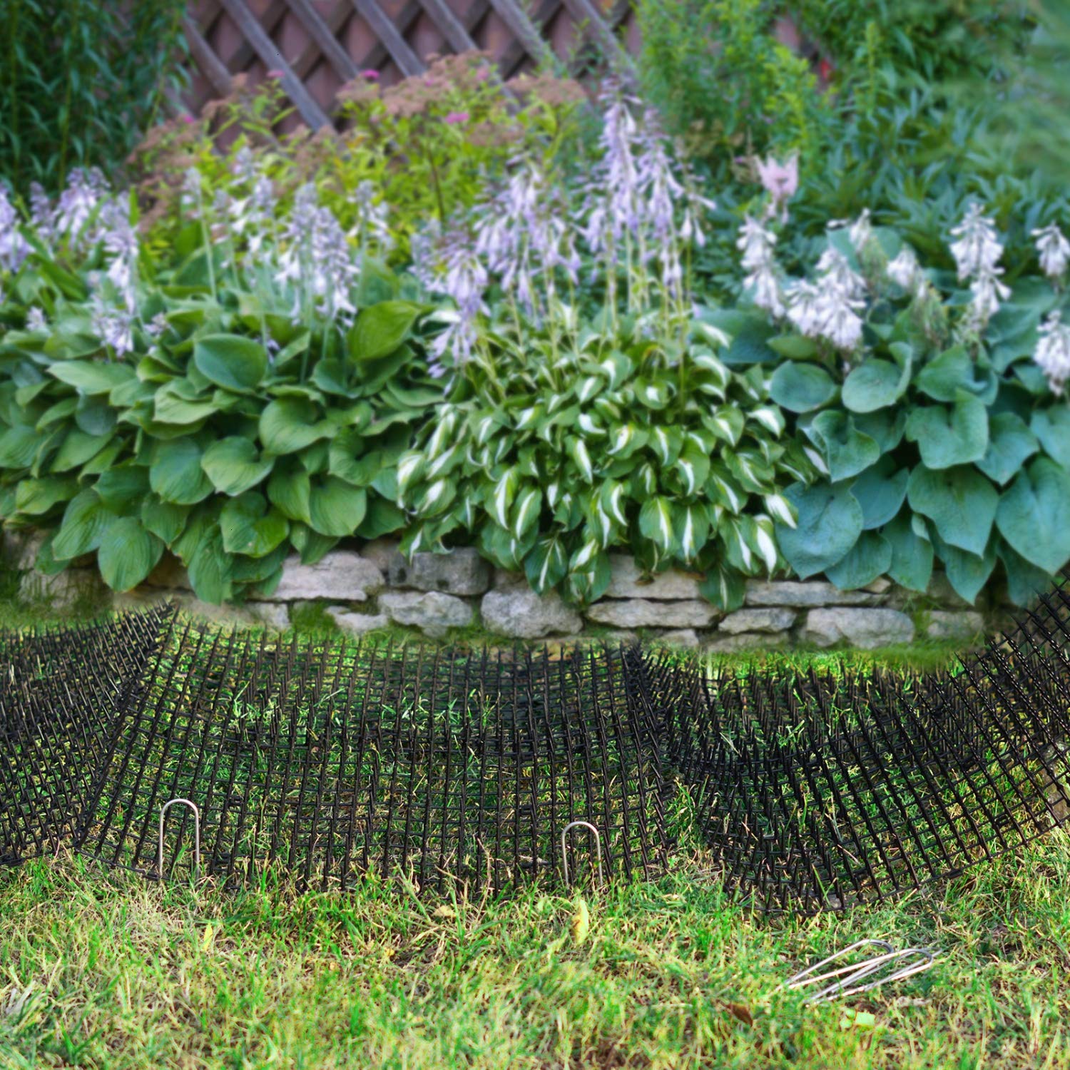 Pomeat 10 Pcs Scat Mat For Cats Indoor, 16' X 12' Cat Scat Mat With Spikes Sprickle, Digging Deterrent For Dogs, Outdoor For Garden And Fence, Cat Deterrent With 7 Staples