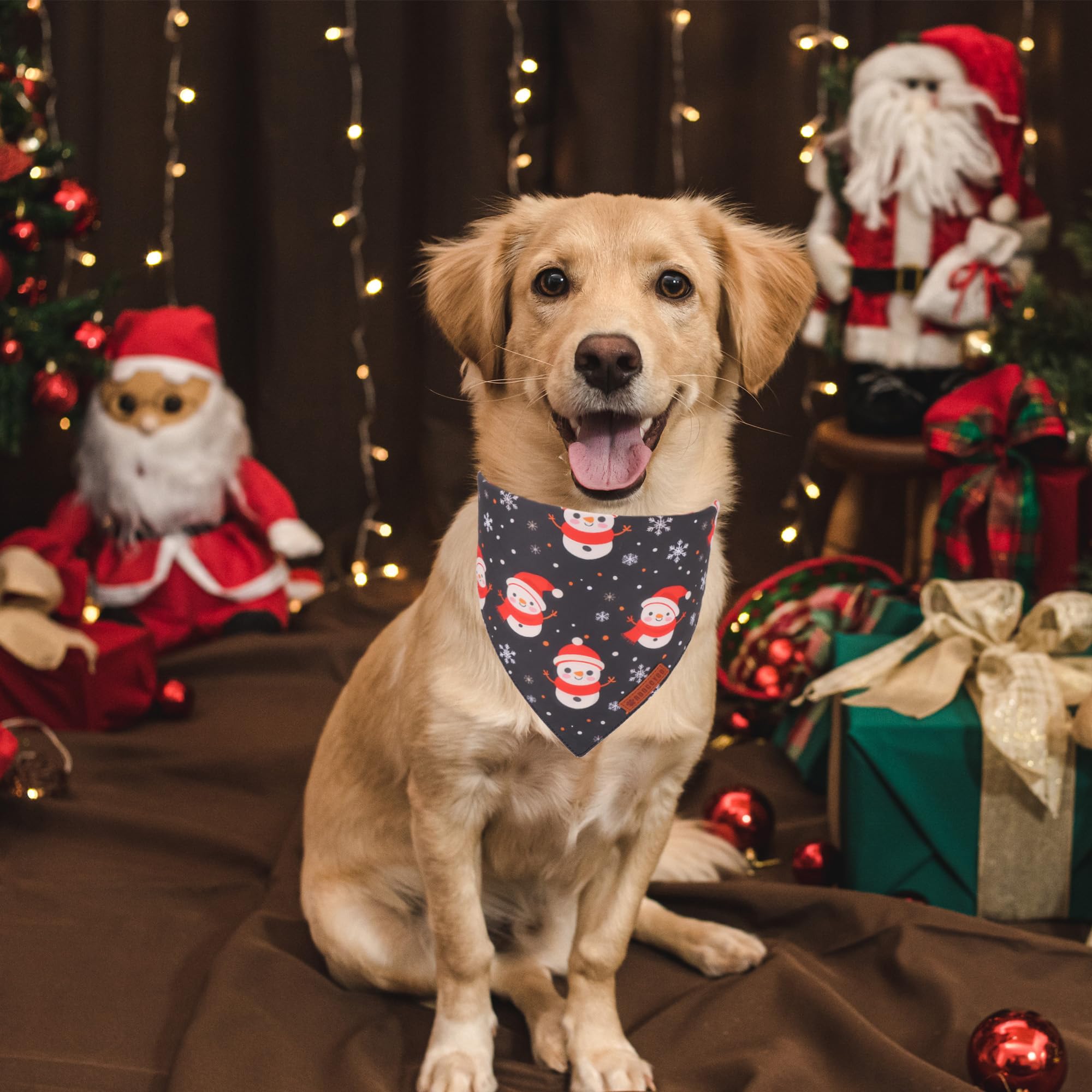 Adoggygo Christmas Dog Bandanas 2 Pack, Reversible Triangle Santa Snowman Pet Xmas Scarf, Adjustable Fit Christmas Bandanas For