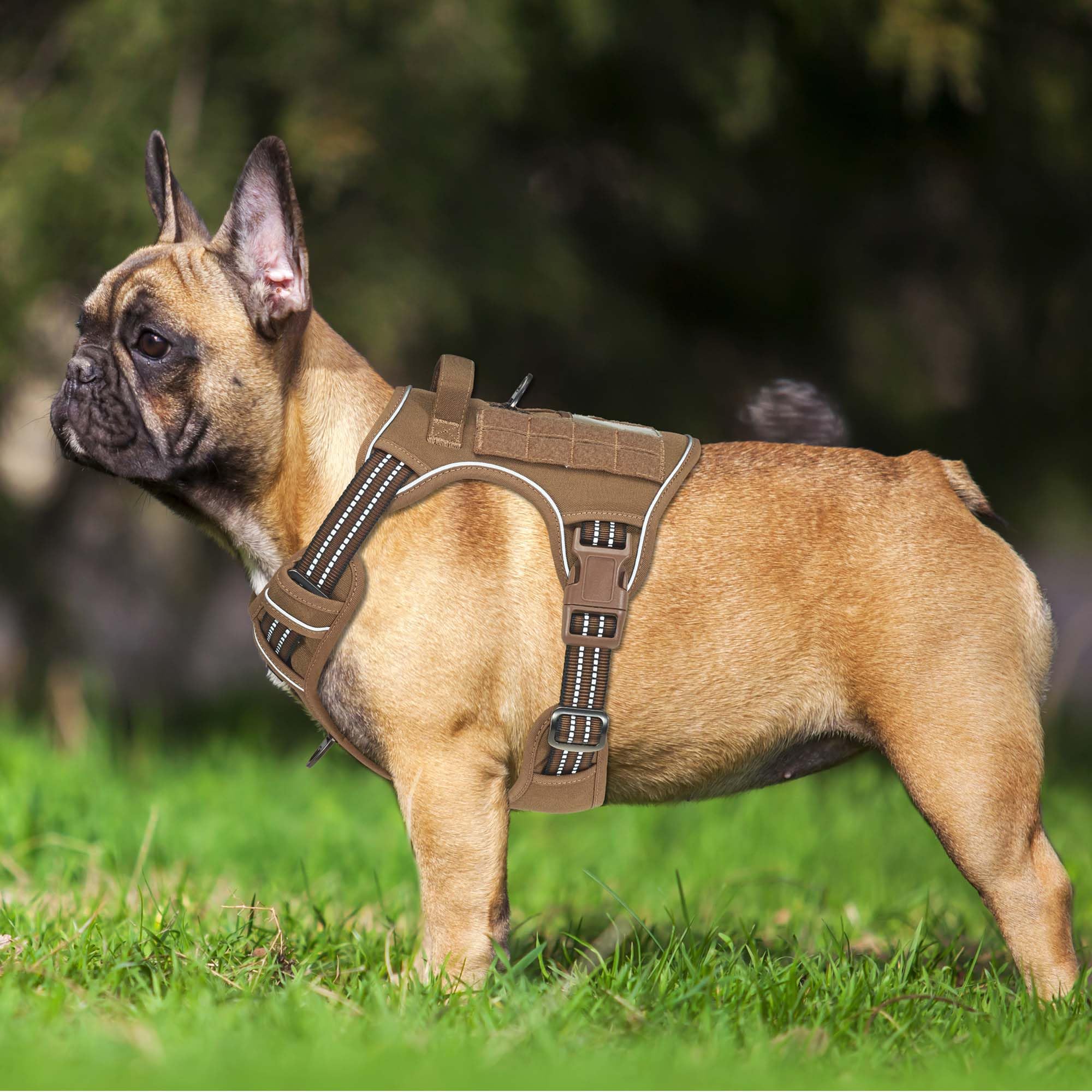 Beebiepet Heavy Duty Tactical Dog Harness For Medium Dogs, Brown, Molle System, Four-Point Adjustment, Anti-Lost Id Tag, Include