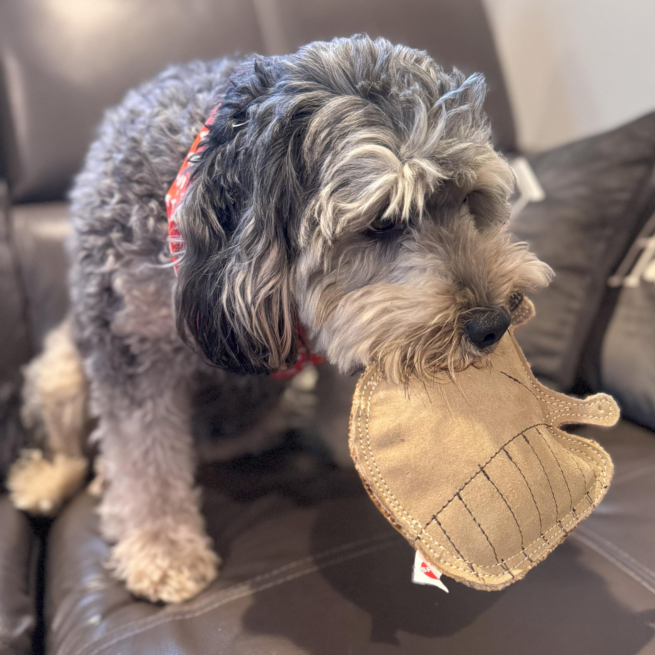 Spot Dura-Fused Leather Raccoon - Dog Toy With Squeaker, Made With Real Leather And Jute Fabric, Interactive Toy For Aggressive Chewers, Durable Squeaky Toy For Dogs And Puppies, 7.25In