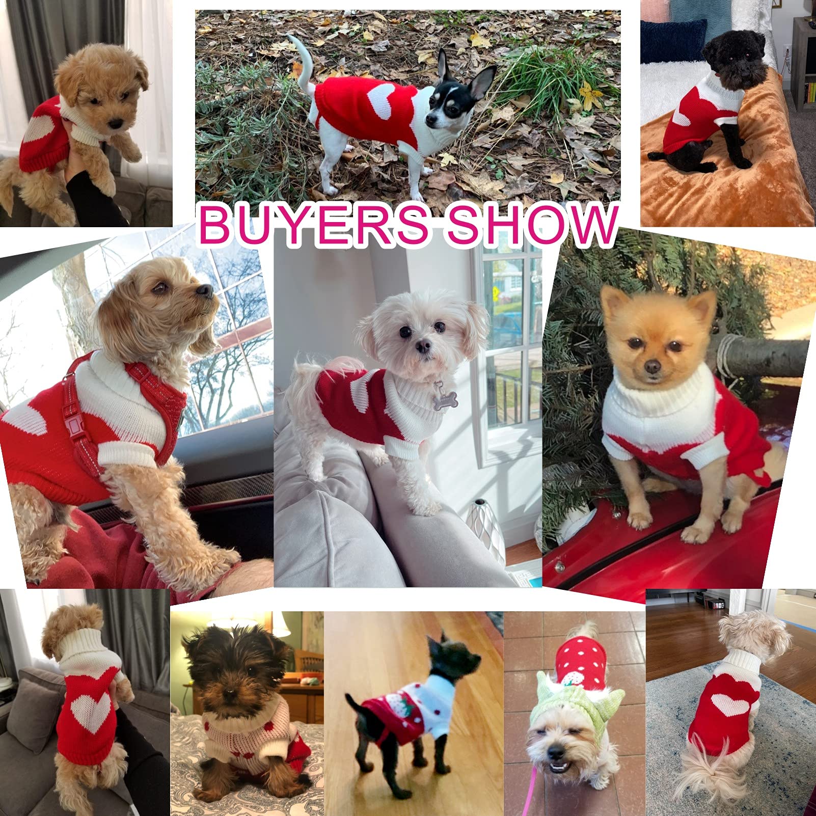 Chborchicen Pet Dog Sweaters Classic Knitwear Turtleneck Winter Warm Puppy Clothing Cute Strawberry And Heart Doggie Sweater (Red2, Xx-Small)