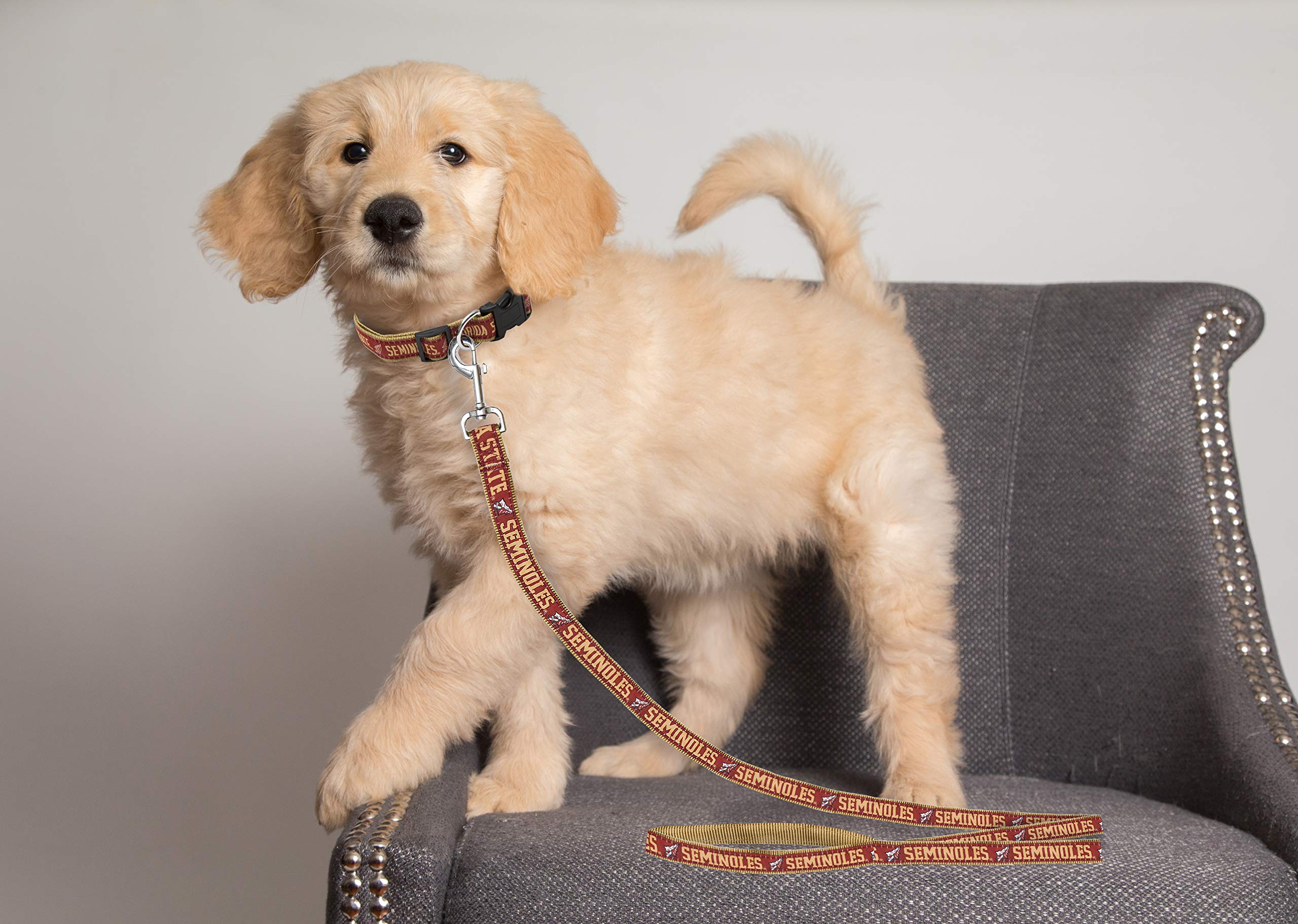 Ncaa Pet Leash, Large, Florida State Seminoles, Dog Leash, Shiny & Colorful Leash For Dogs & Cats Licensed By The Ncaa