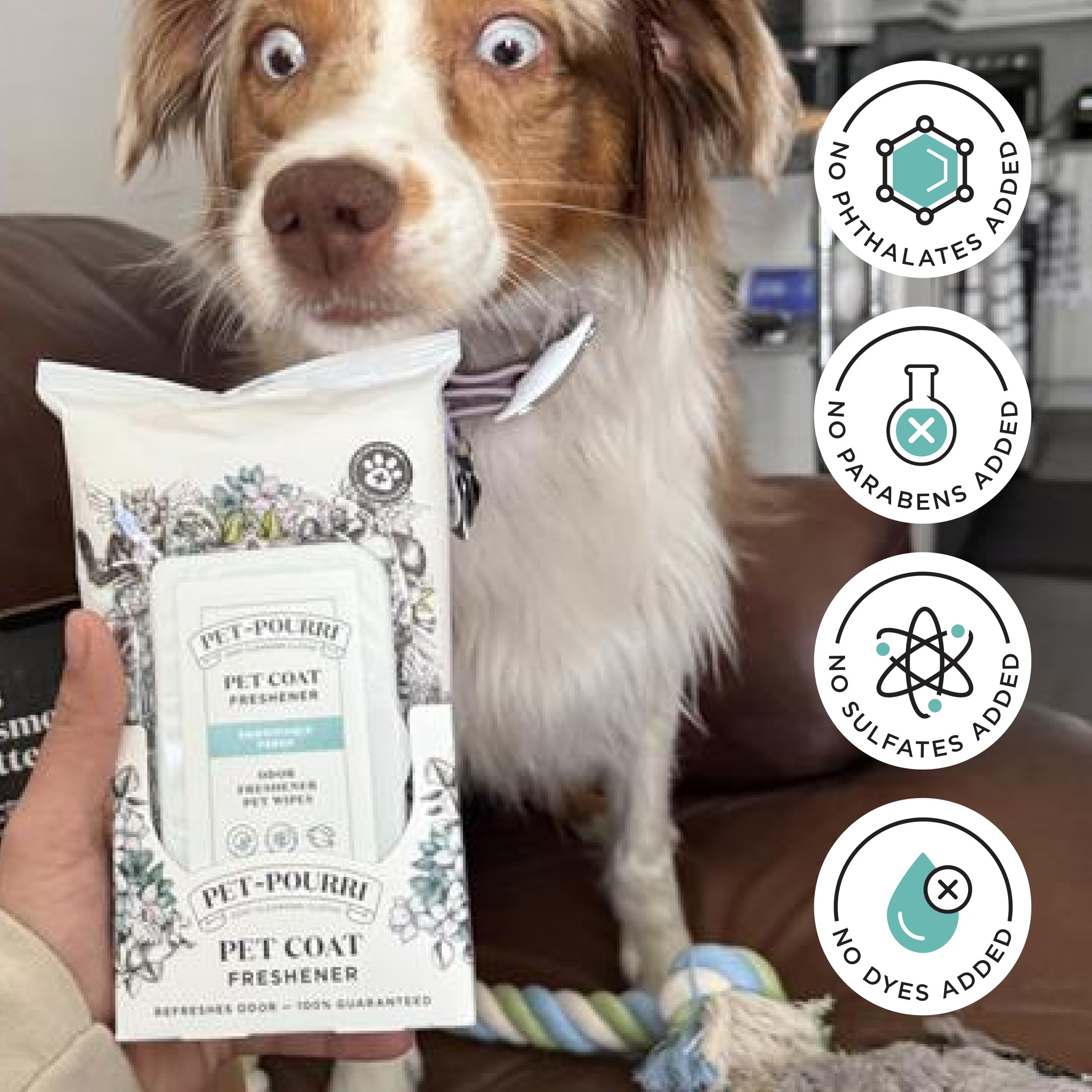 Pet-Pourri Pawsitively Fresh Deodorizing Pet Wipes - Quick Cleaning Wipes For Dogs & Cats - Plant Based Ingredients - Vet Recomm