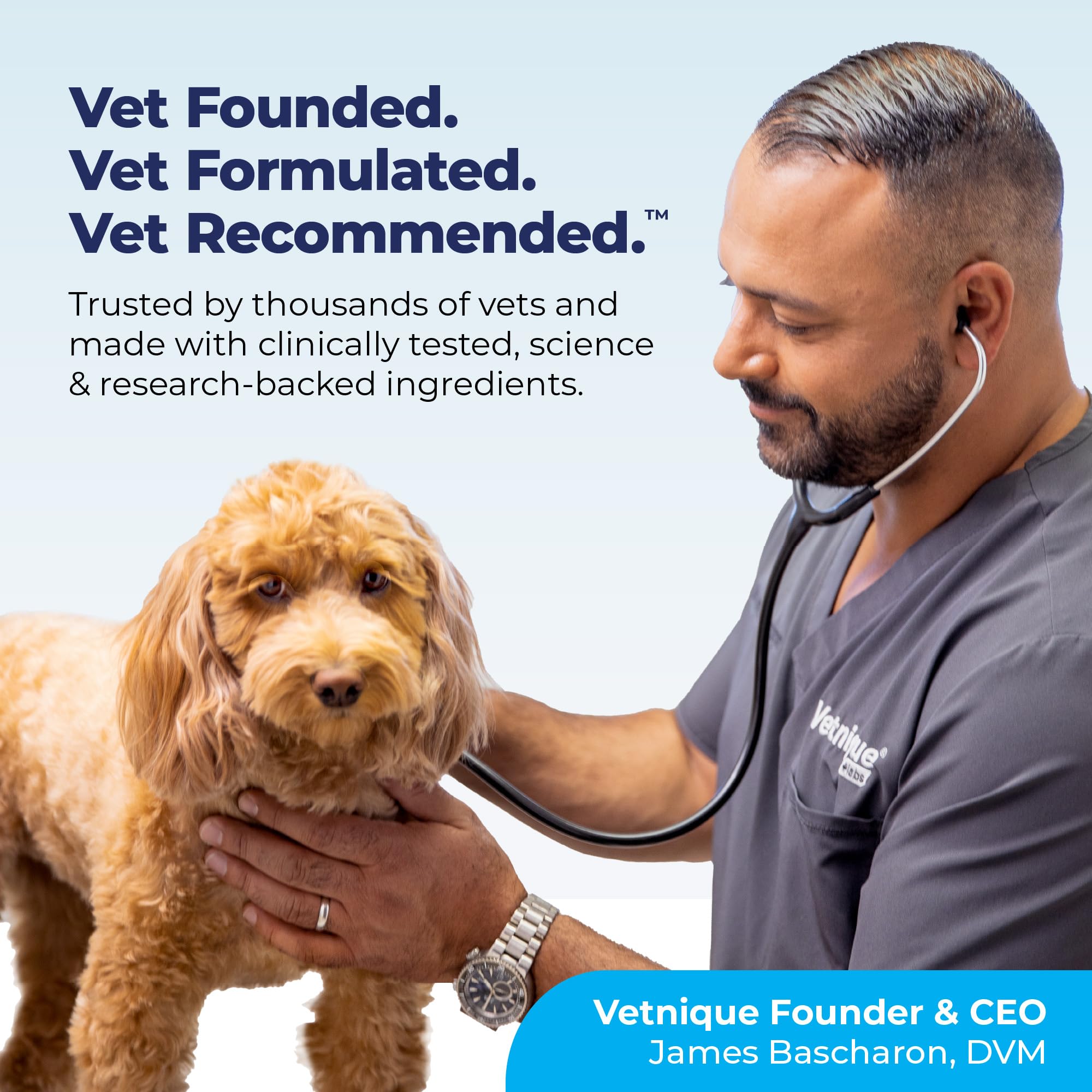 Vetnique Glandex Dog Fiber Supplement Powder for Anal Glands with Pumpkin, Digestive Enzymes & Probiotics - Vet Recommended (Reg