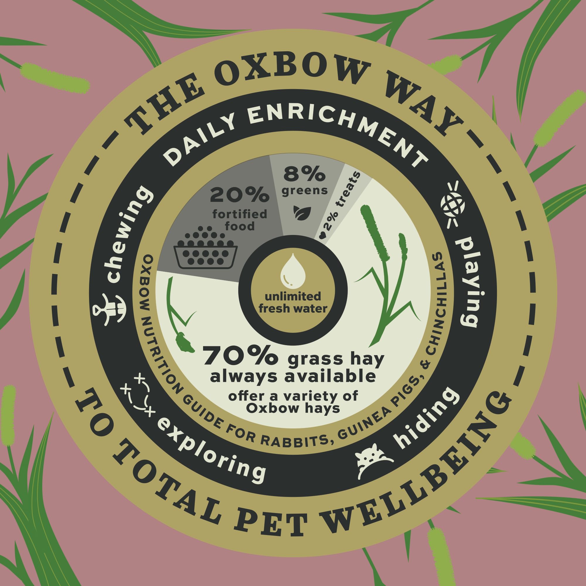 Oxbow Prime Cut Soft & Lush Timothy Hay, Premium Rabbit & Guinea Pig Hay, High Fiber Small Pet Food for Rabbits, Bunnies, Guinea