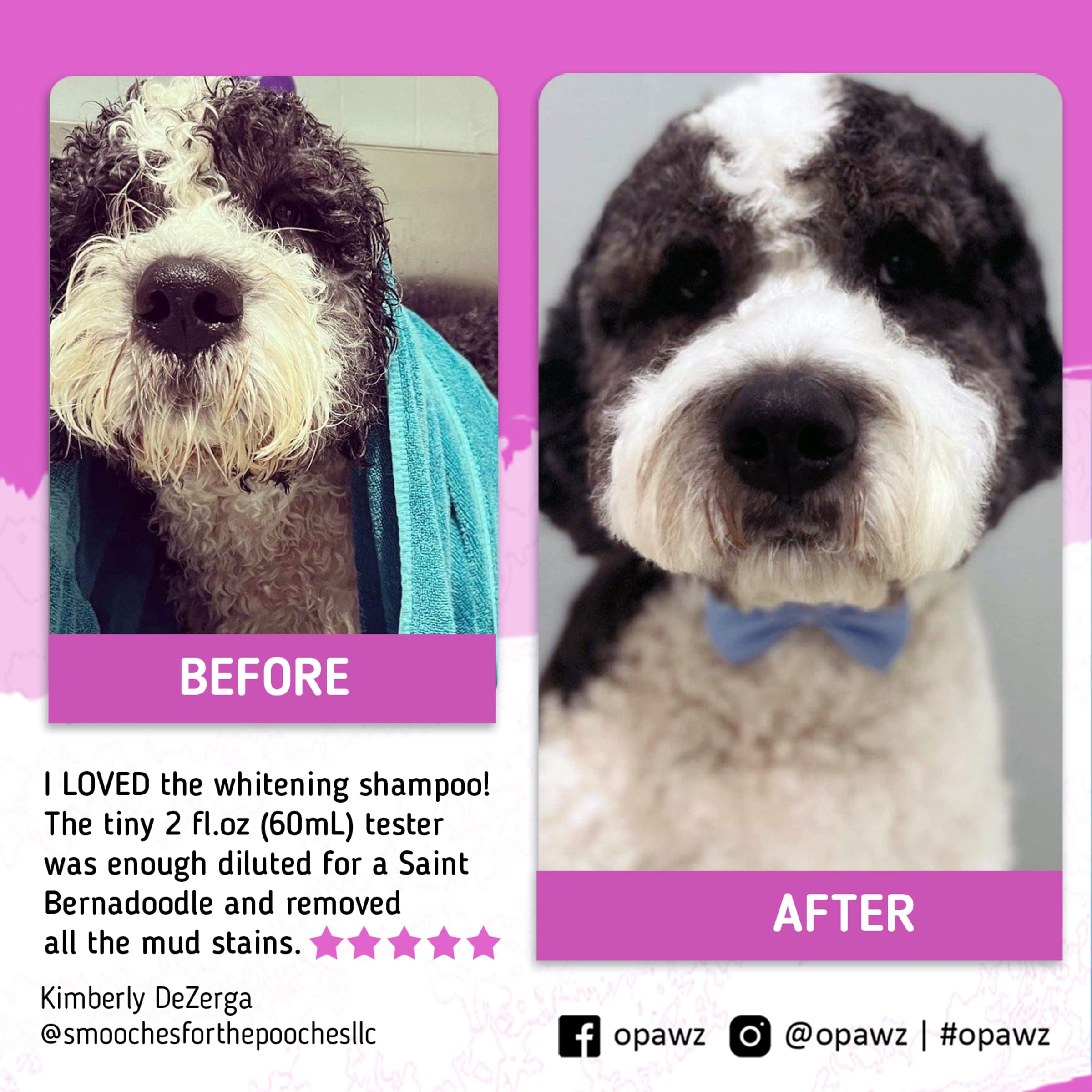 OPAWZ Whitening Purple Shampoo for Dogs and Cats, 16.9 oz - Safely Removes Yellow Stains, No Bleach, Peroxide or Sulfate