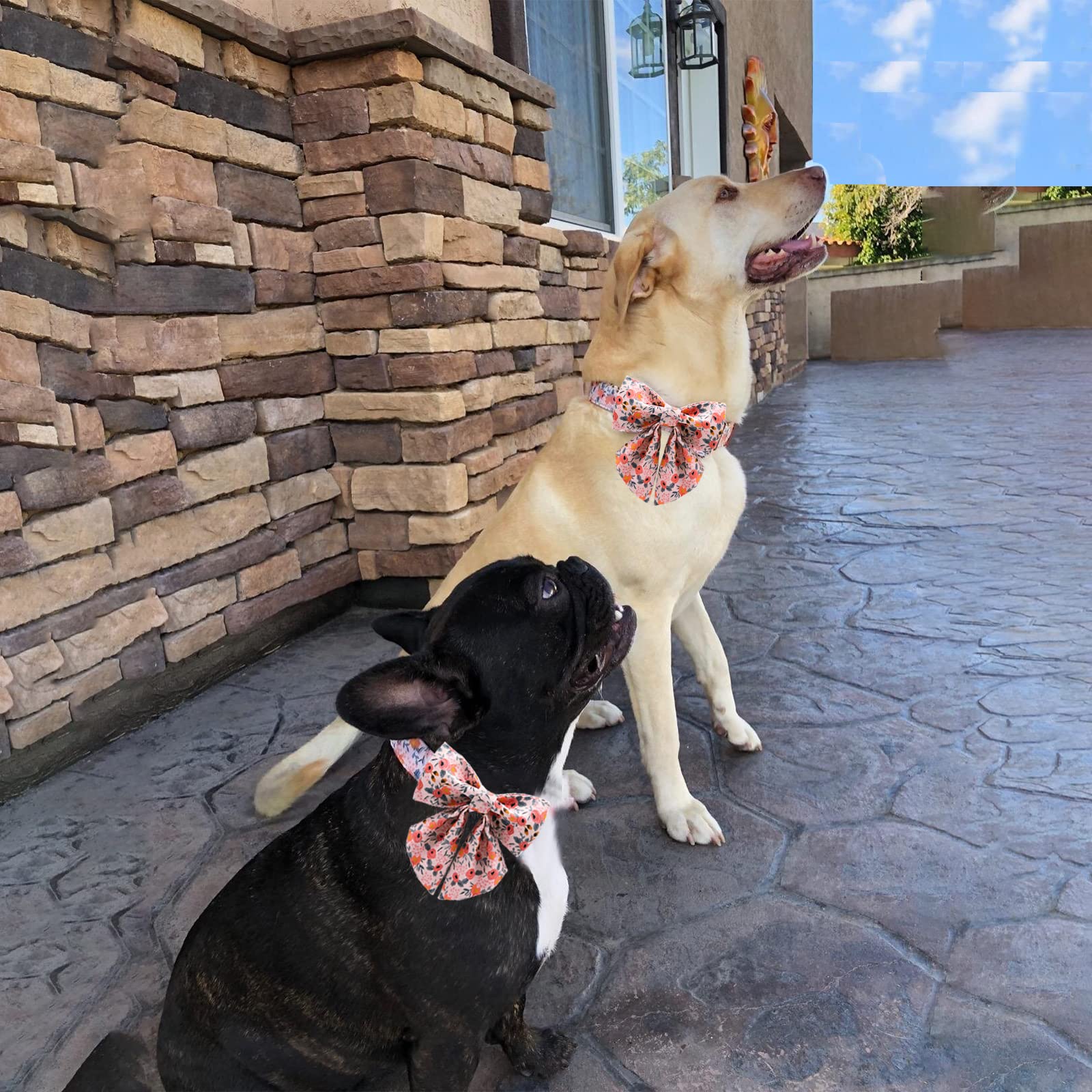 Unique Style Paws Dog Collar With Tie Adjustable Pink Bowtie Puppy Collars For Small Medium Large Dogs And Cats-L