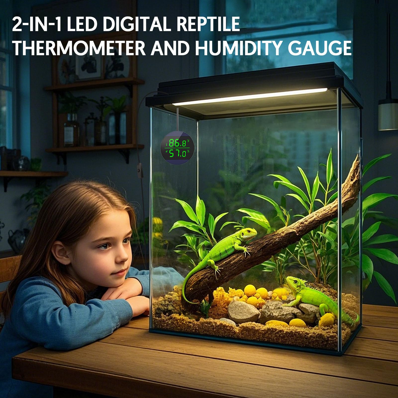 Qzq Reptile Thermometer And Humidity Gauge, Led Digital Thermometer Hydrometer, Reptile Tank Accessories For Bearded Dragon, Cre