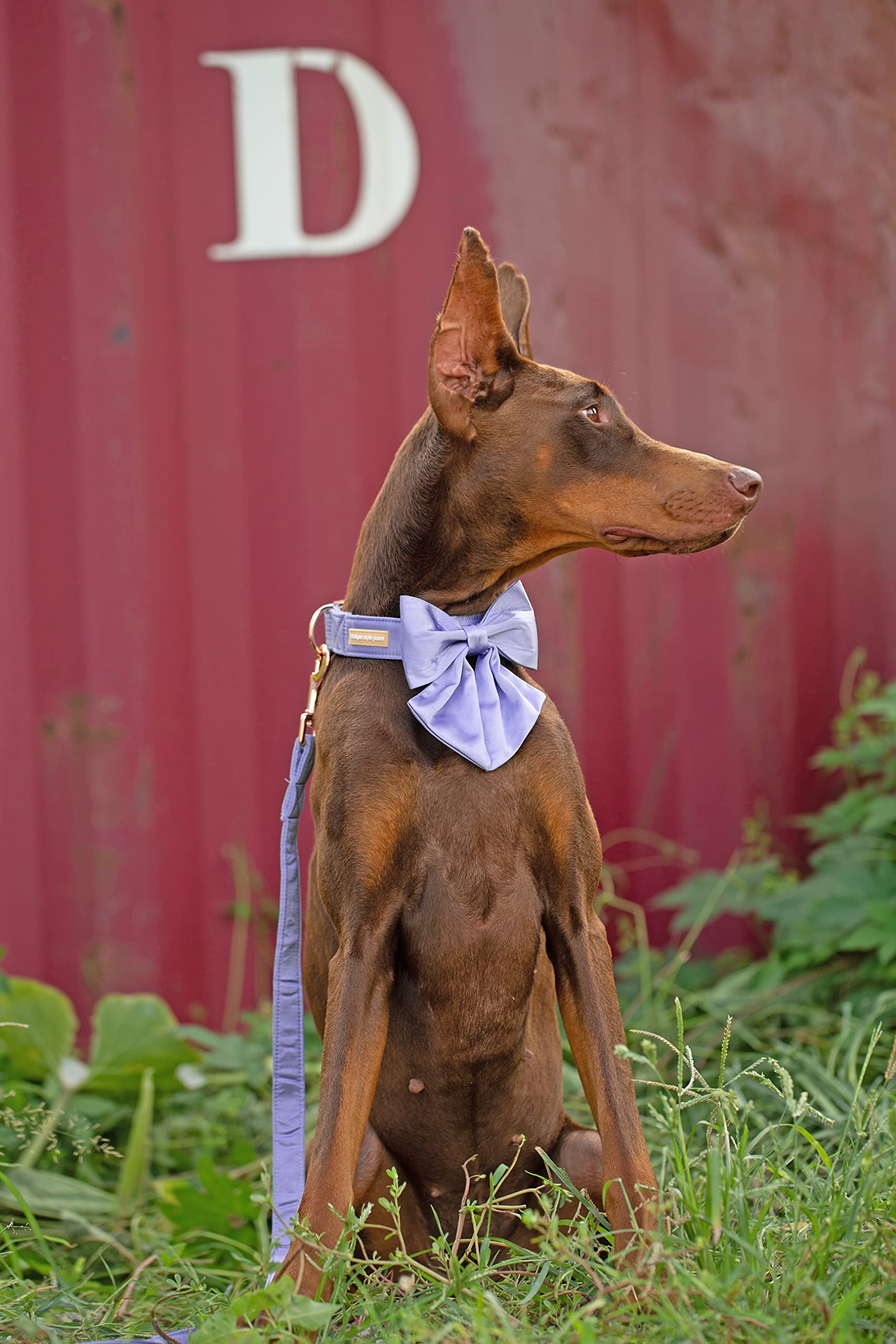 Unique Style Paws Purple Silk Dog Collar Adjustable Durable Dog Collar With Bow Fashion Bowtie Collar For Small Puppy And Cats